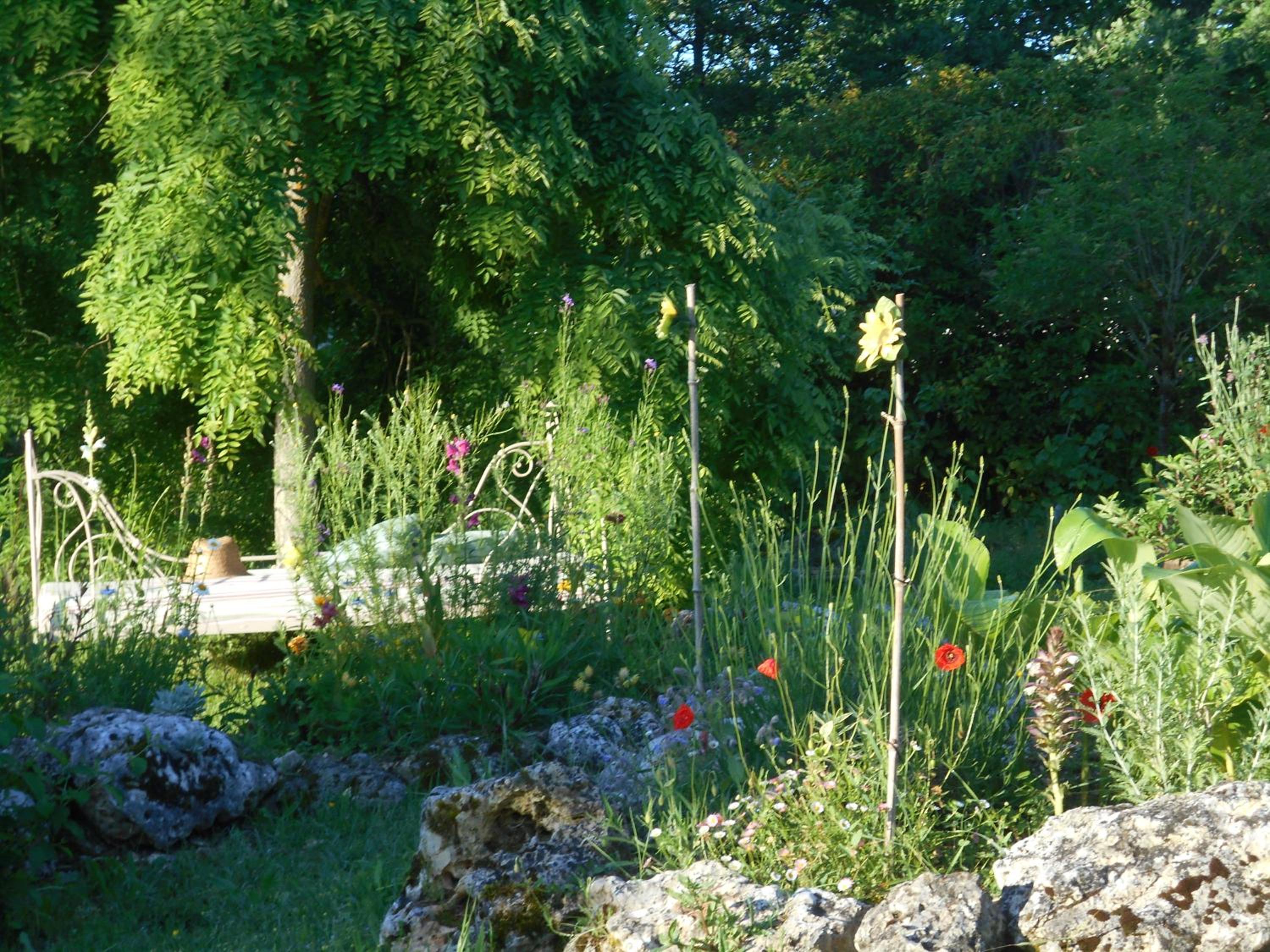Photo 25