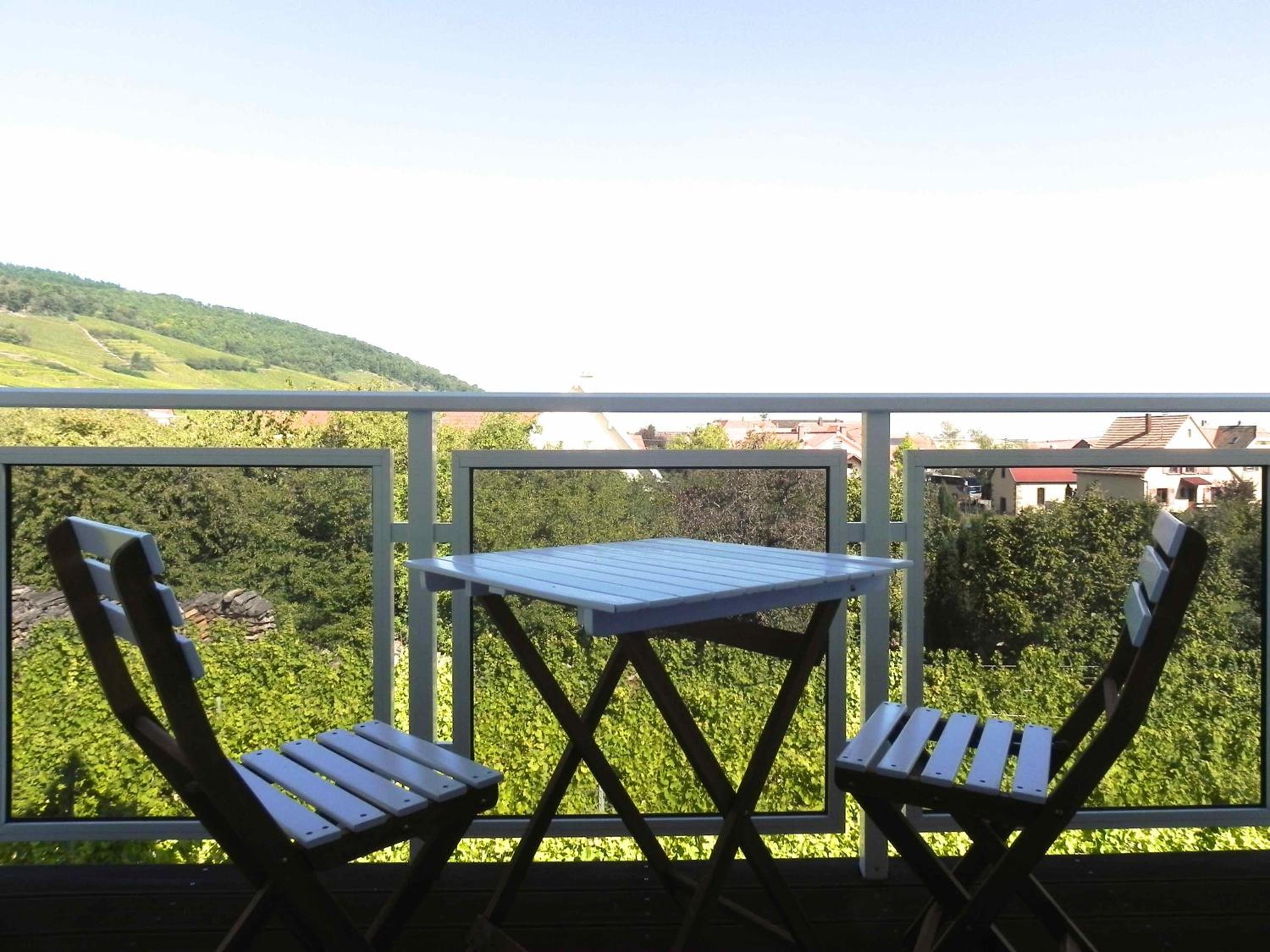 Au Coeur Du Vignoble view 2