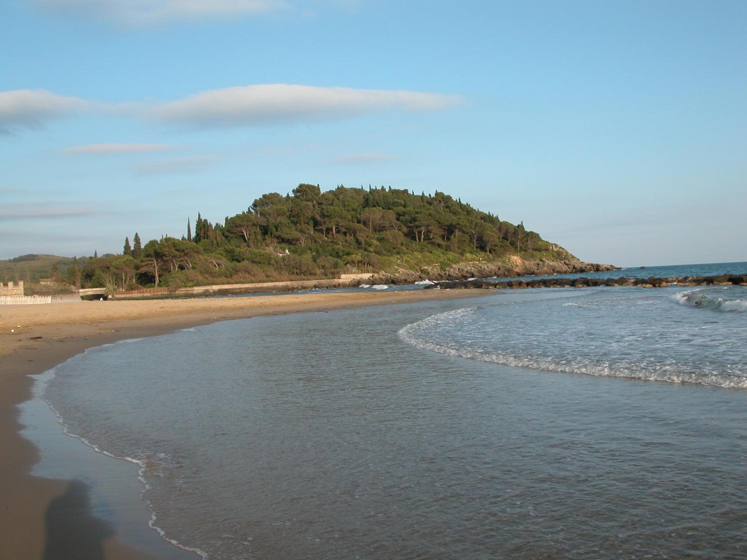 Photo 46