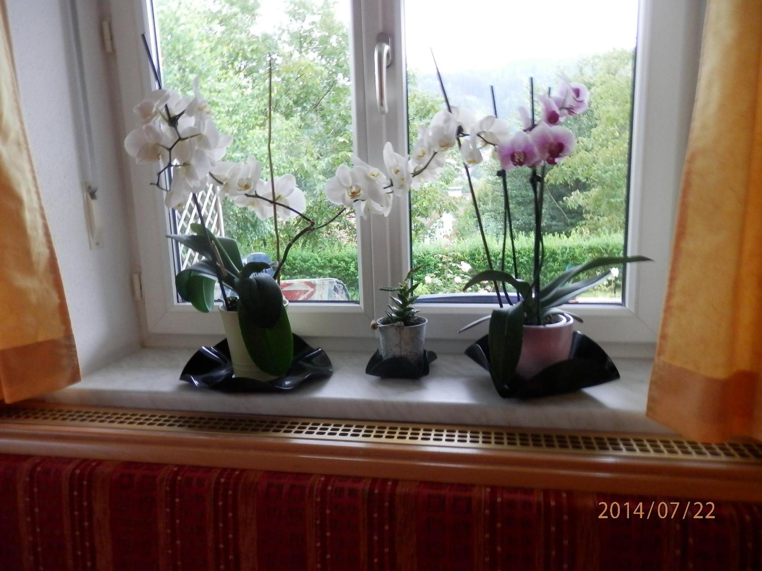 Ferienwohnung Wurm