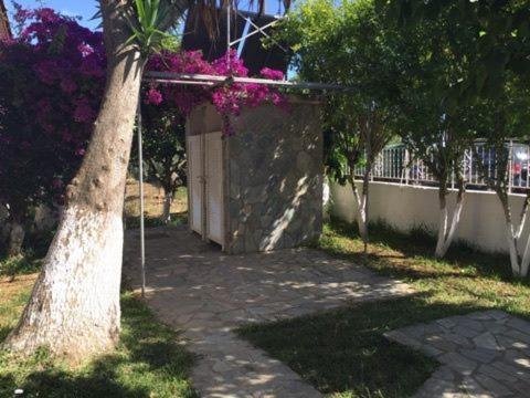 Marianthi Studios photo 4