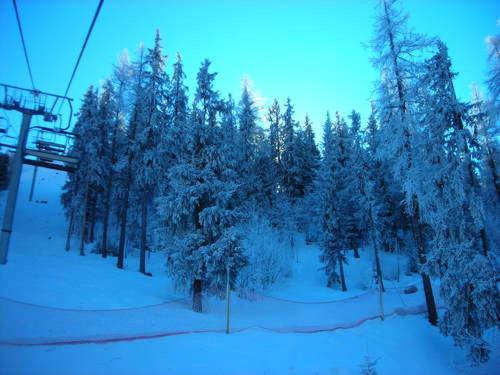 Photo 44