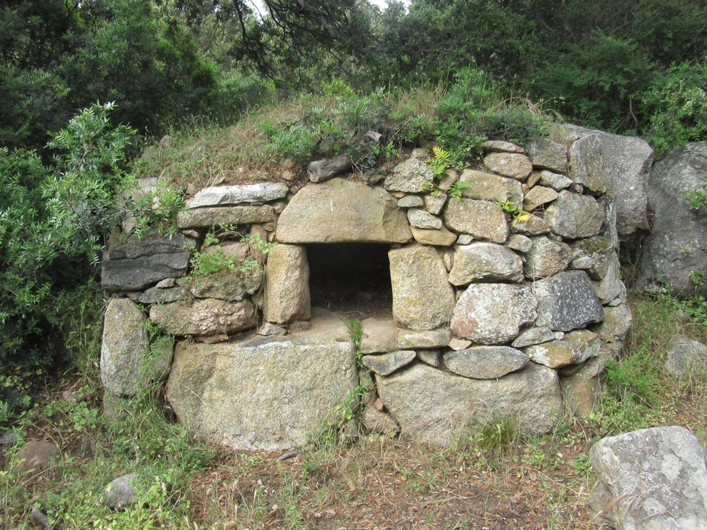 Photo 29
