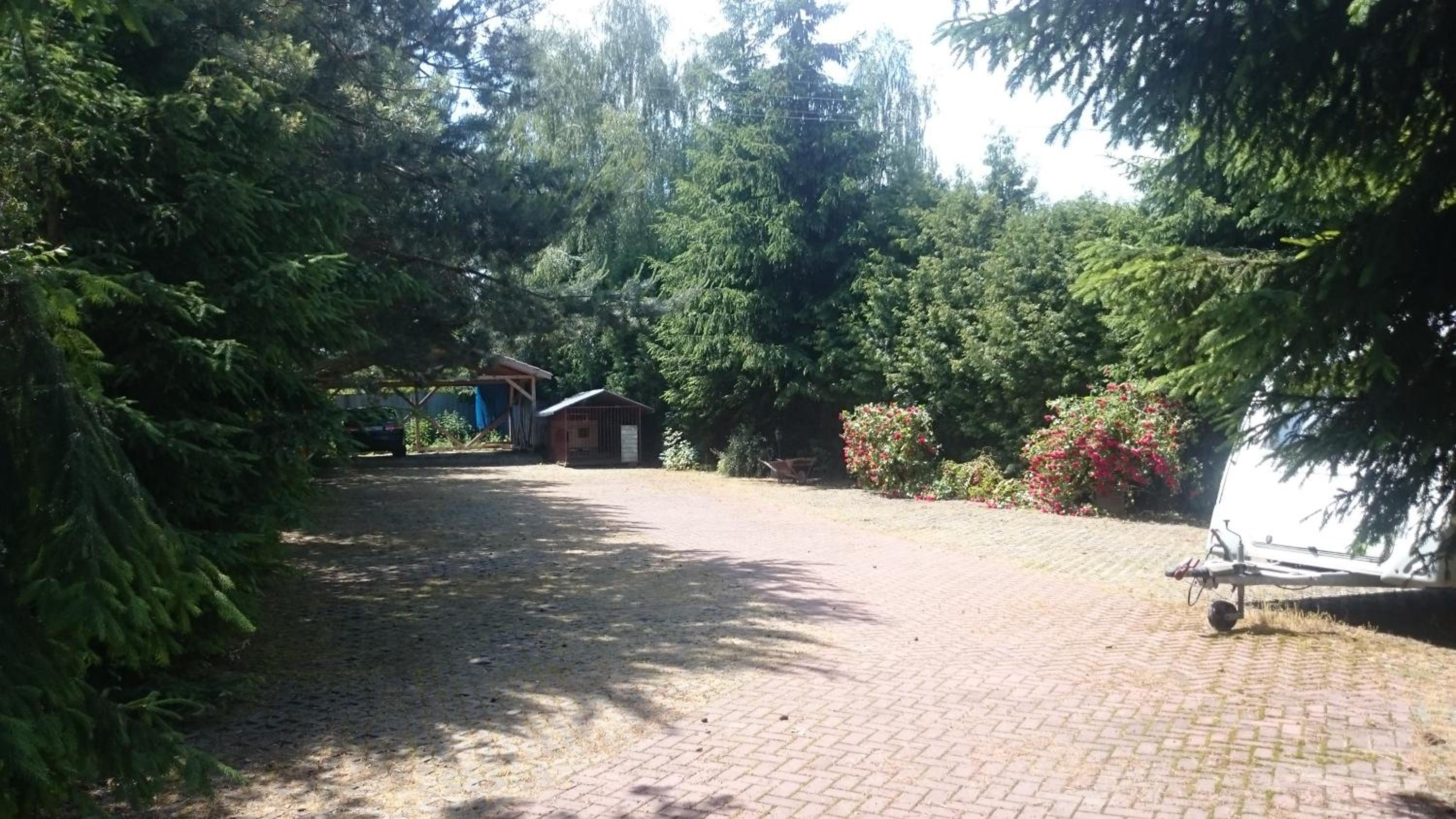 Photo 38