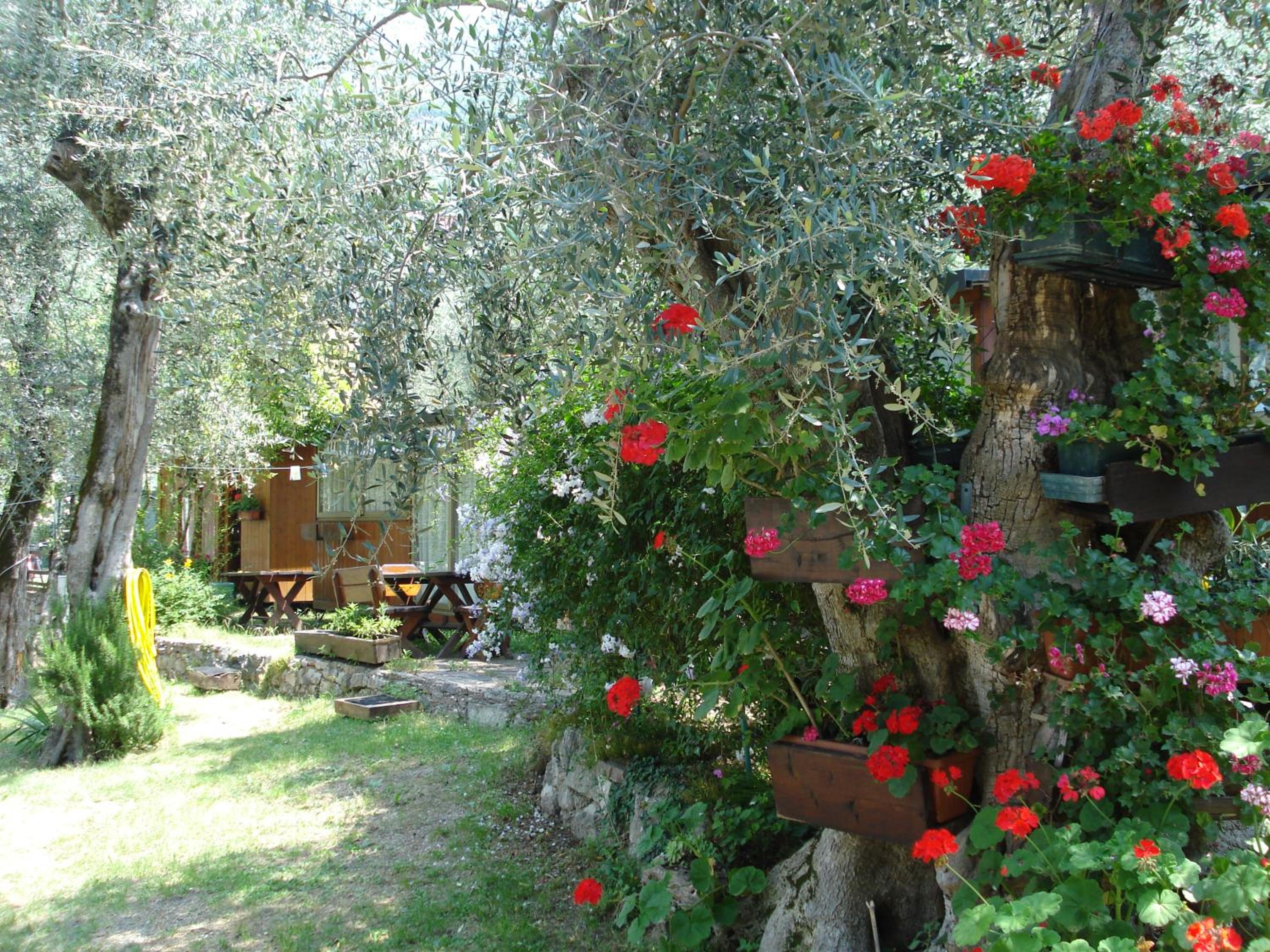 Photo 40