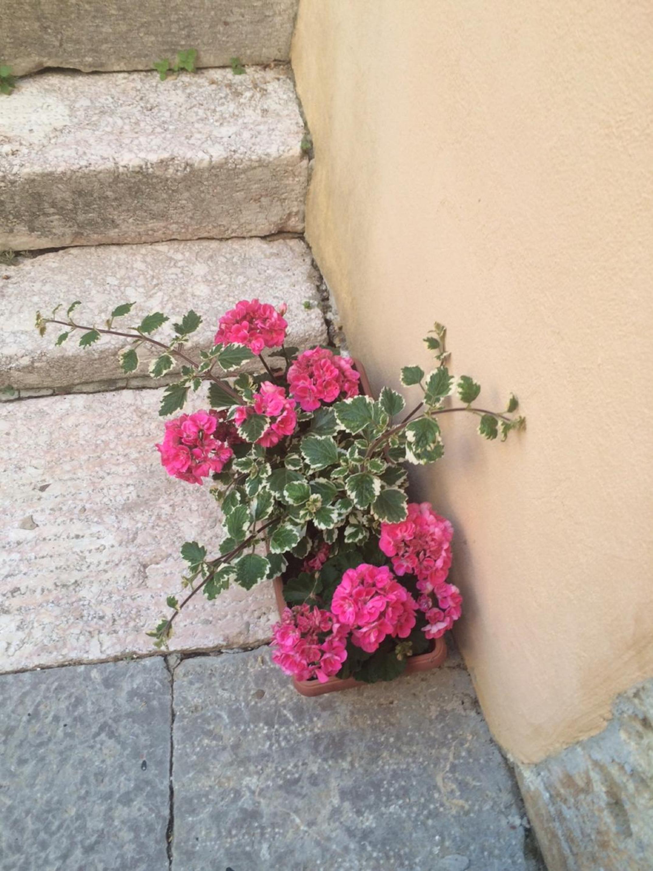 Photo 73