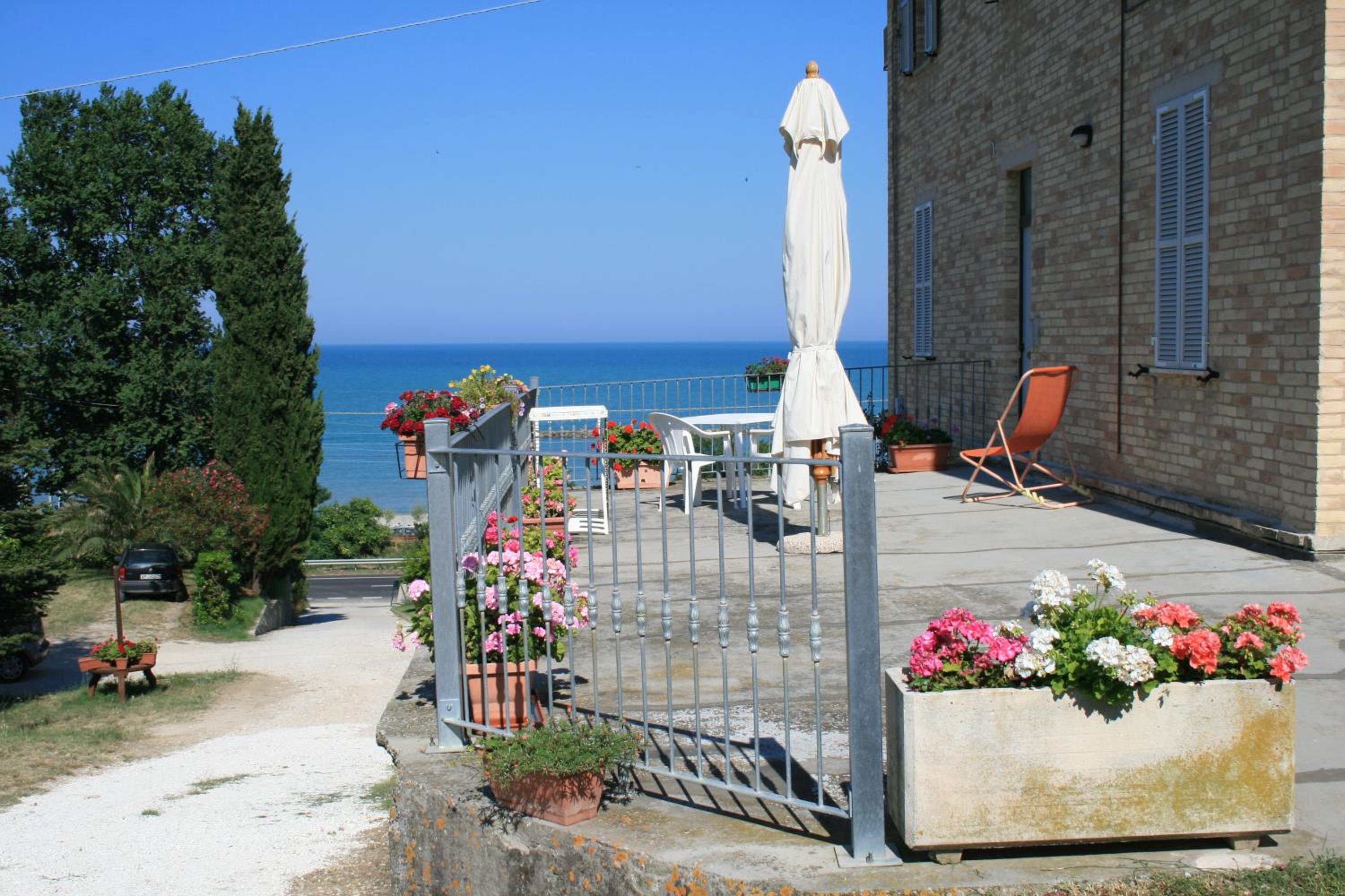 Photo 31