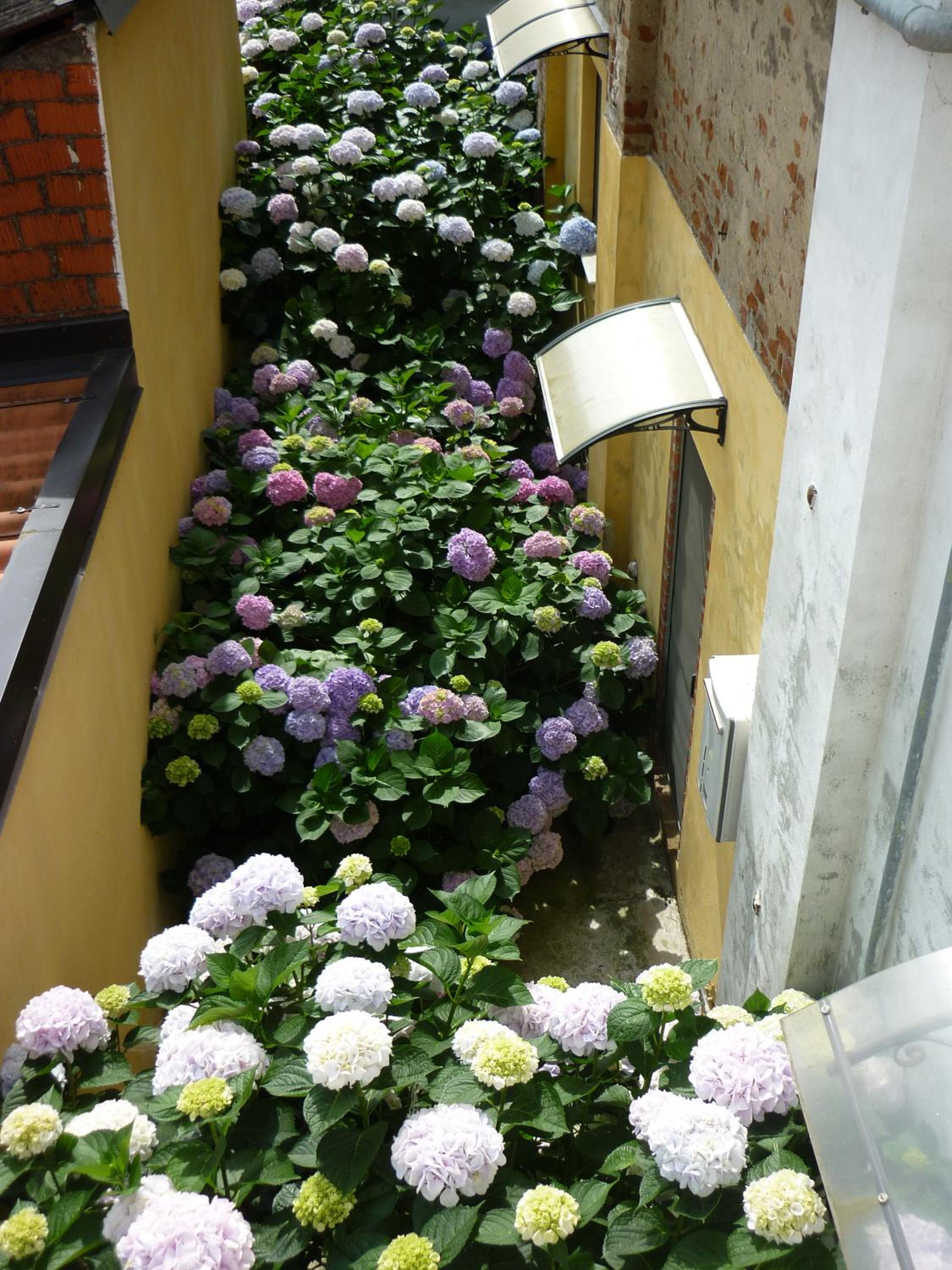 Photo 43