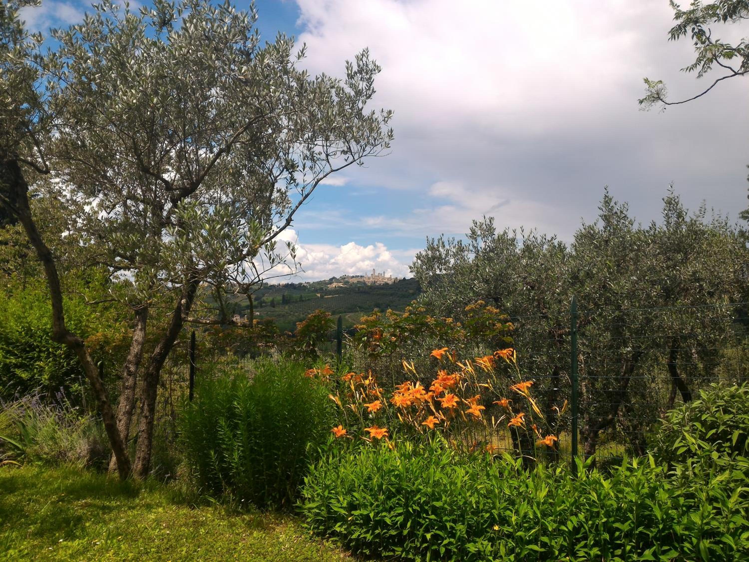Borgo Montauto