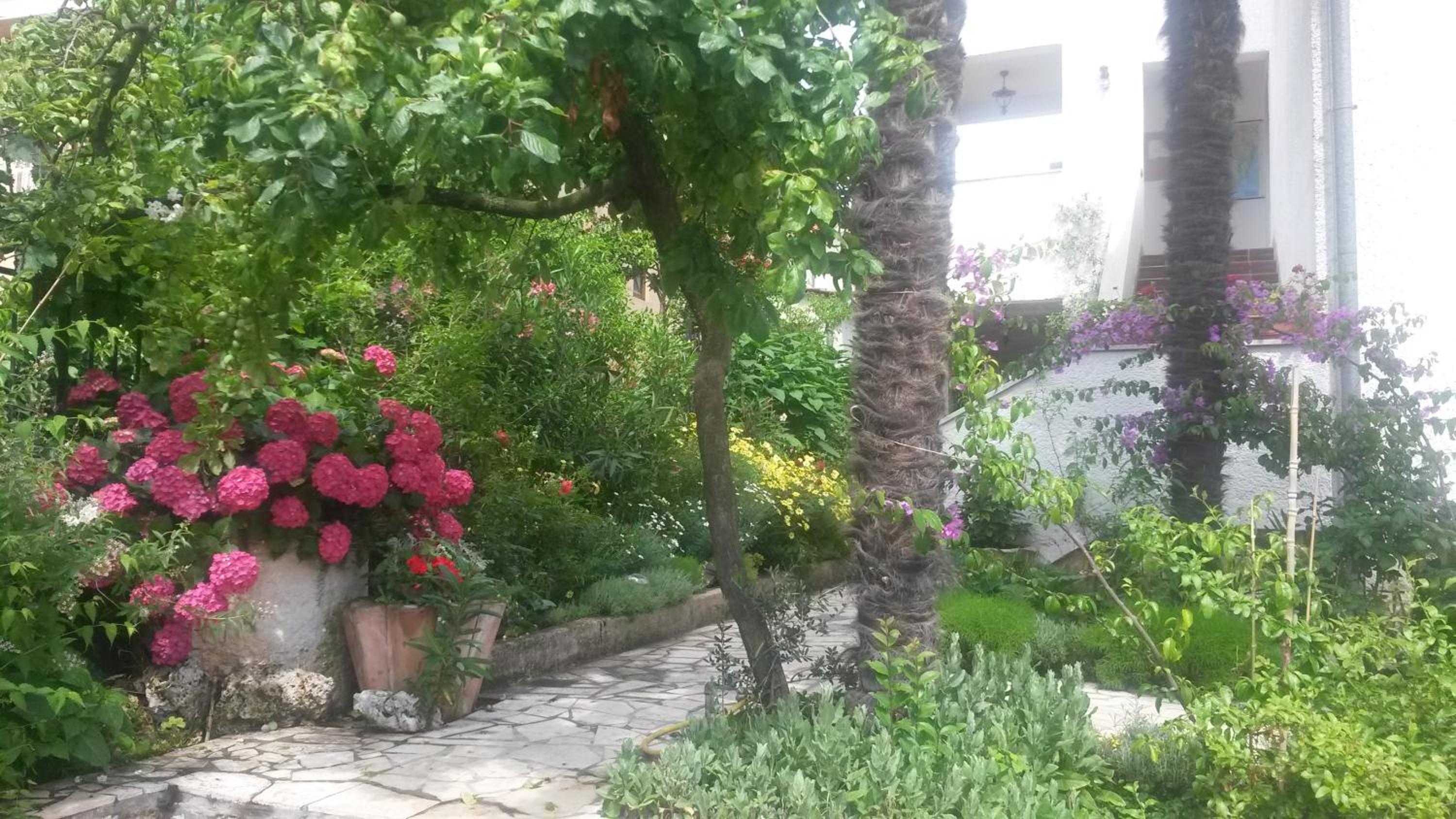 Photo 38