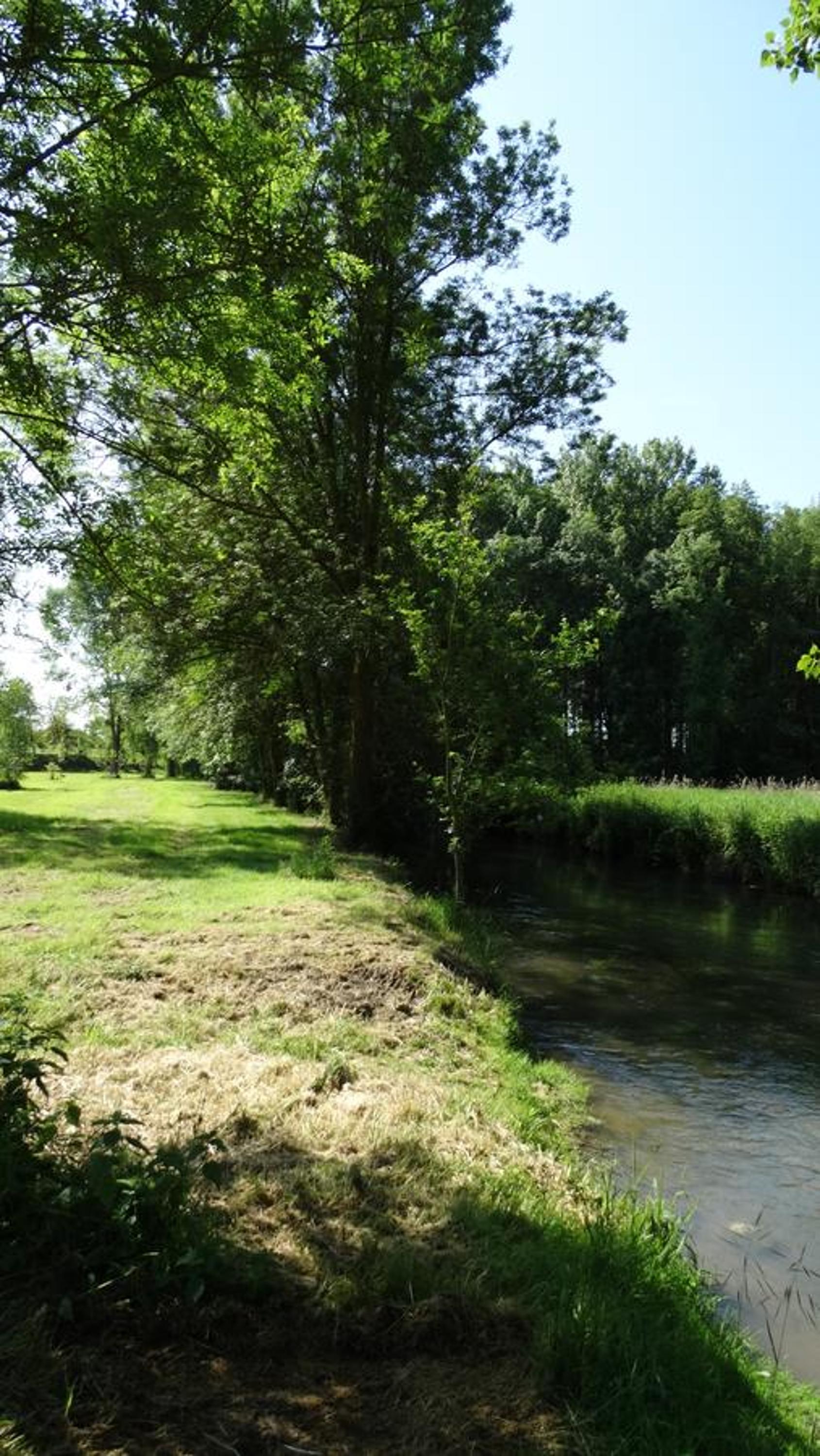 Moulin de reigner