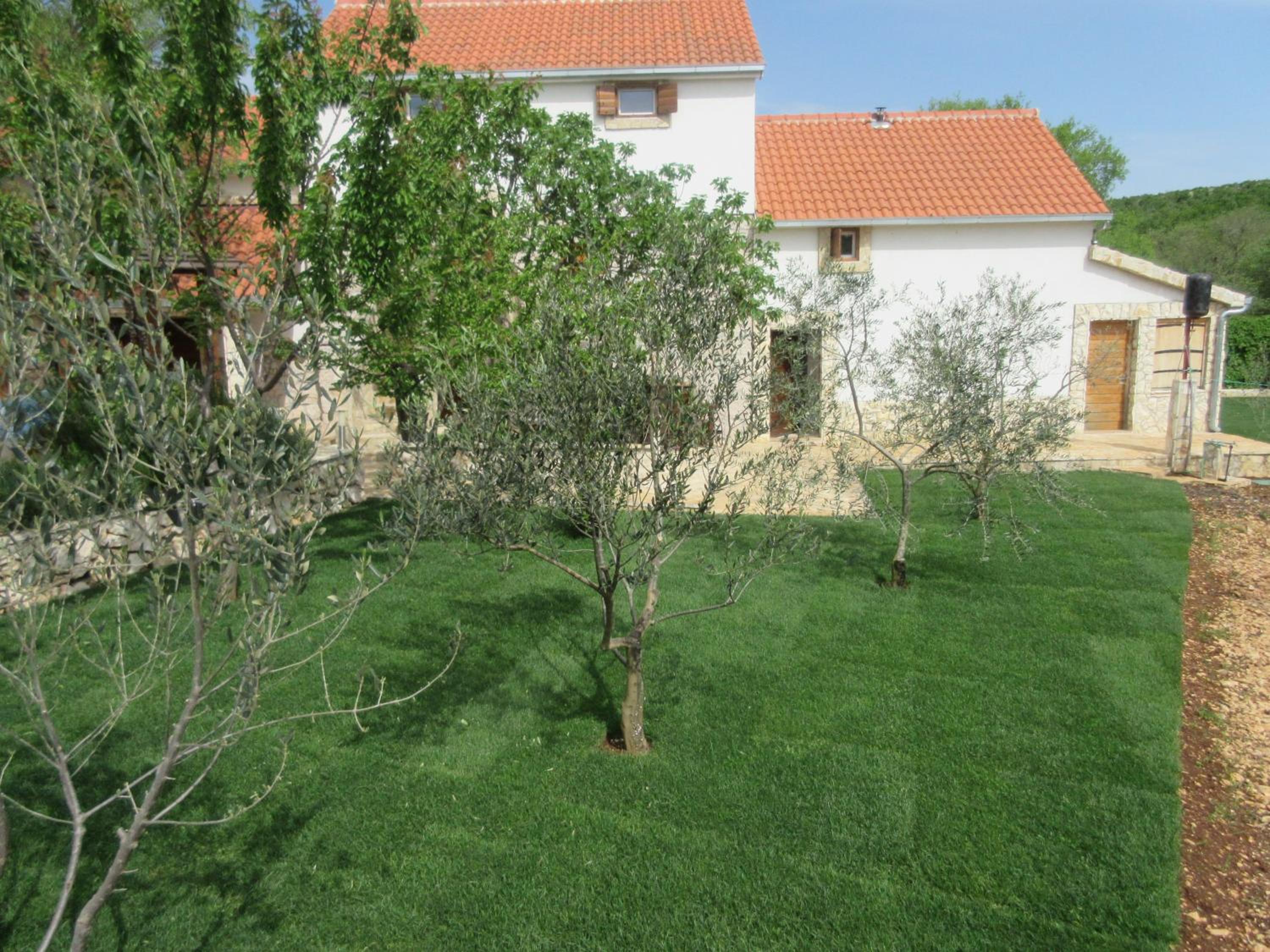 Photo 27