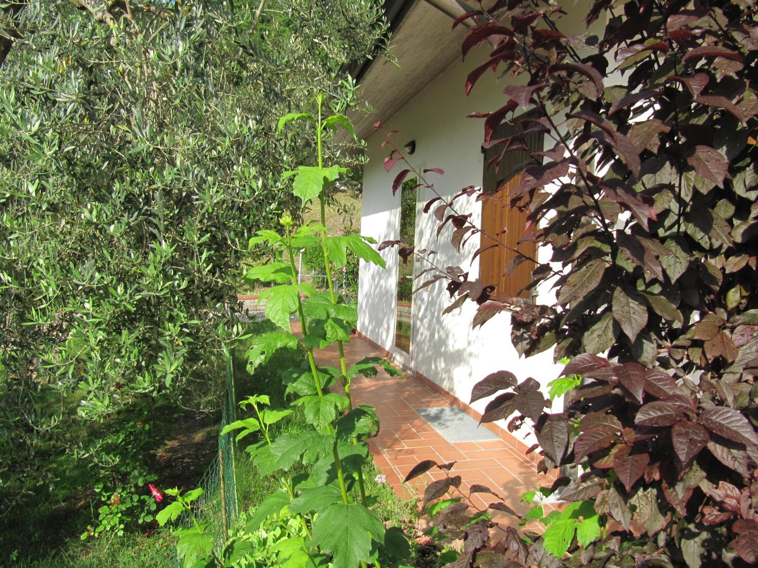 B&B La Poiana