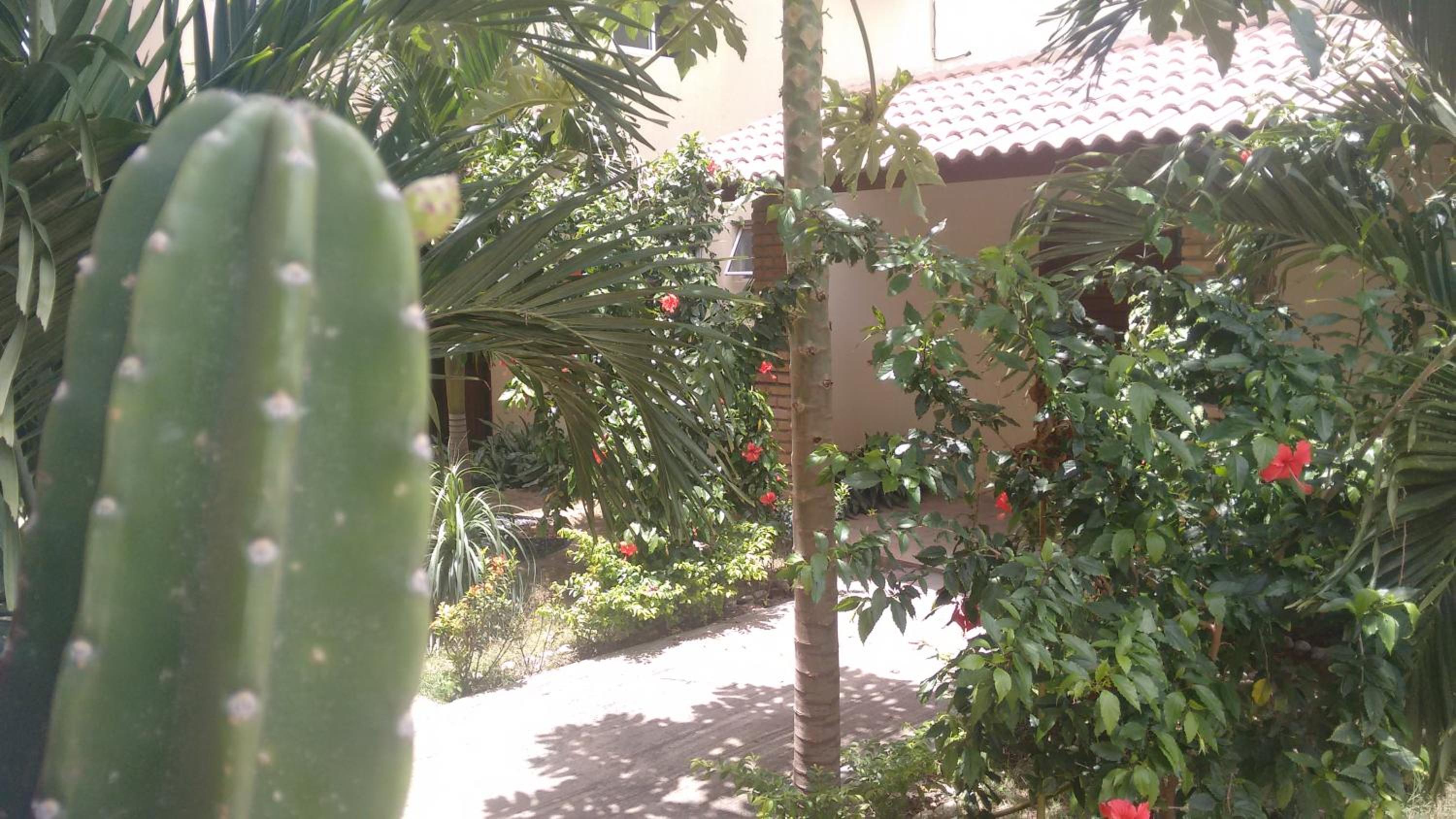 Pecem suites