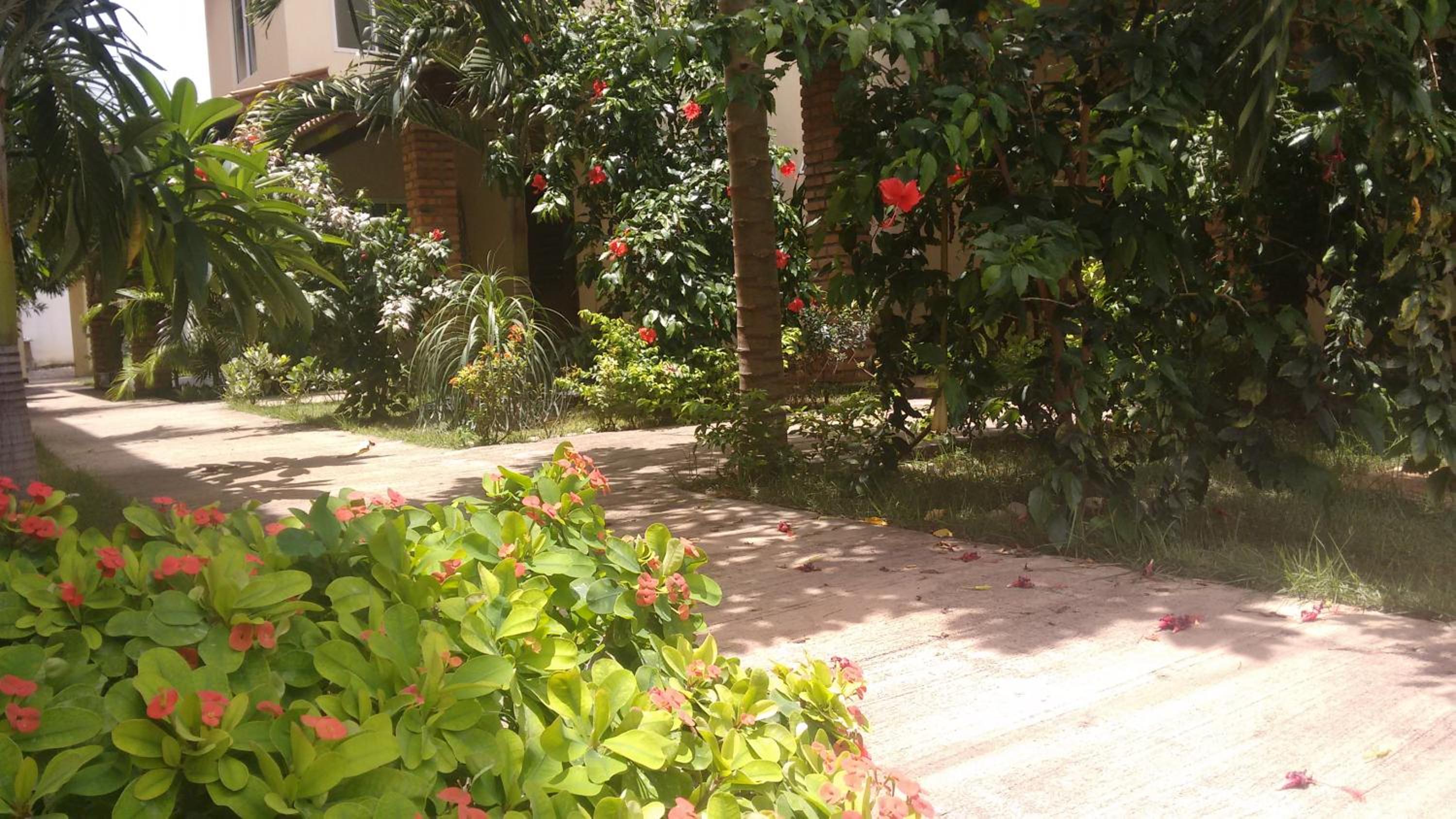 Pecem suites