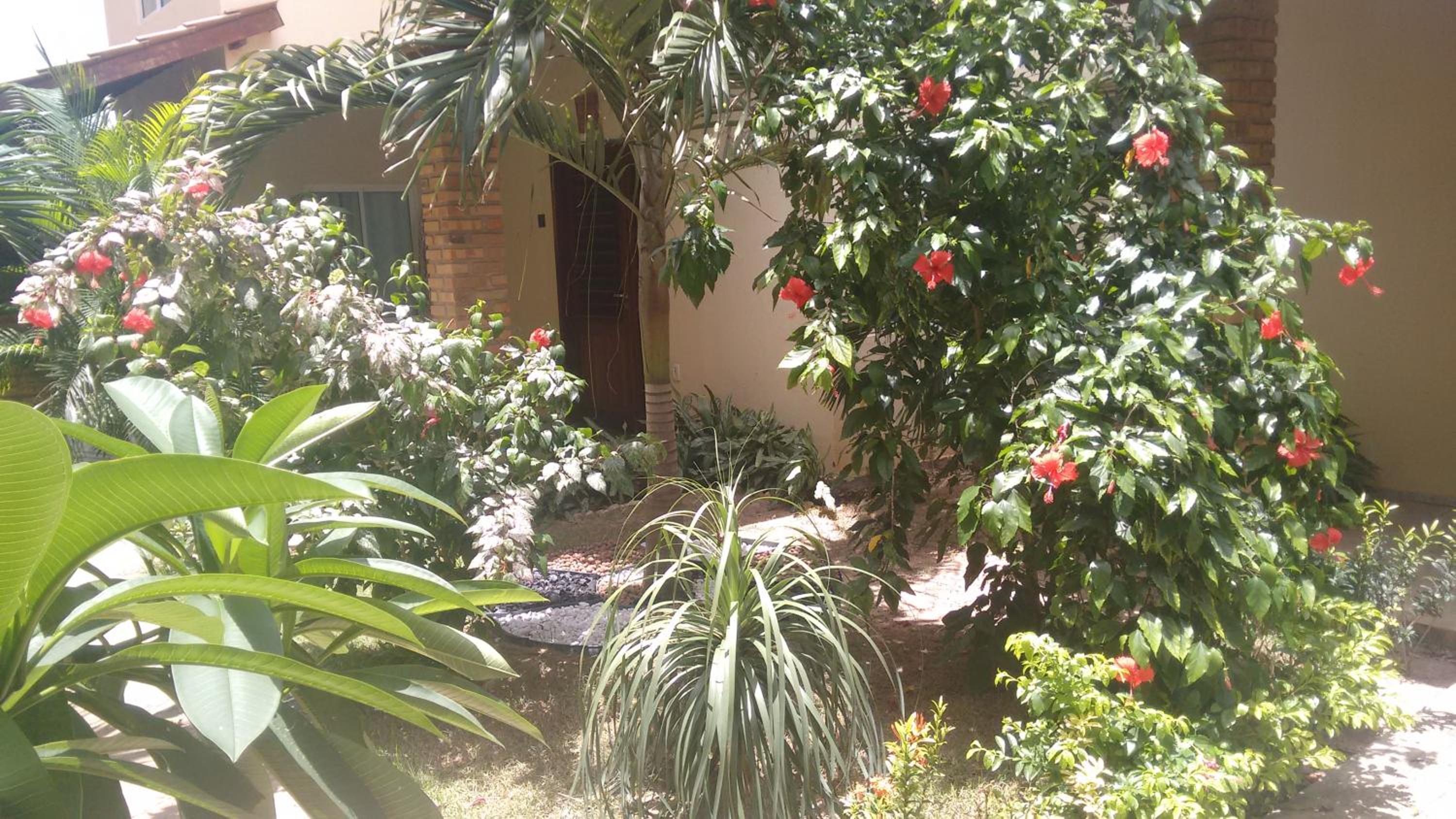 Pecem suites