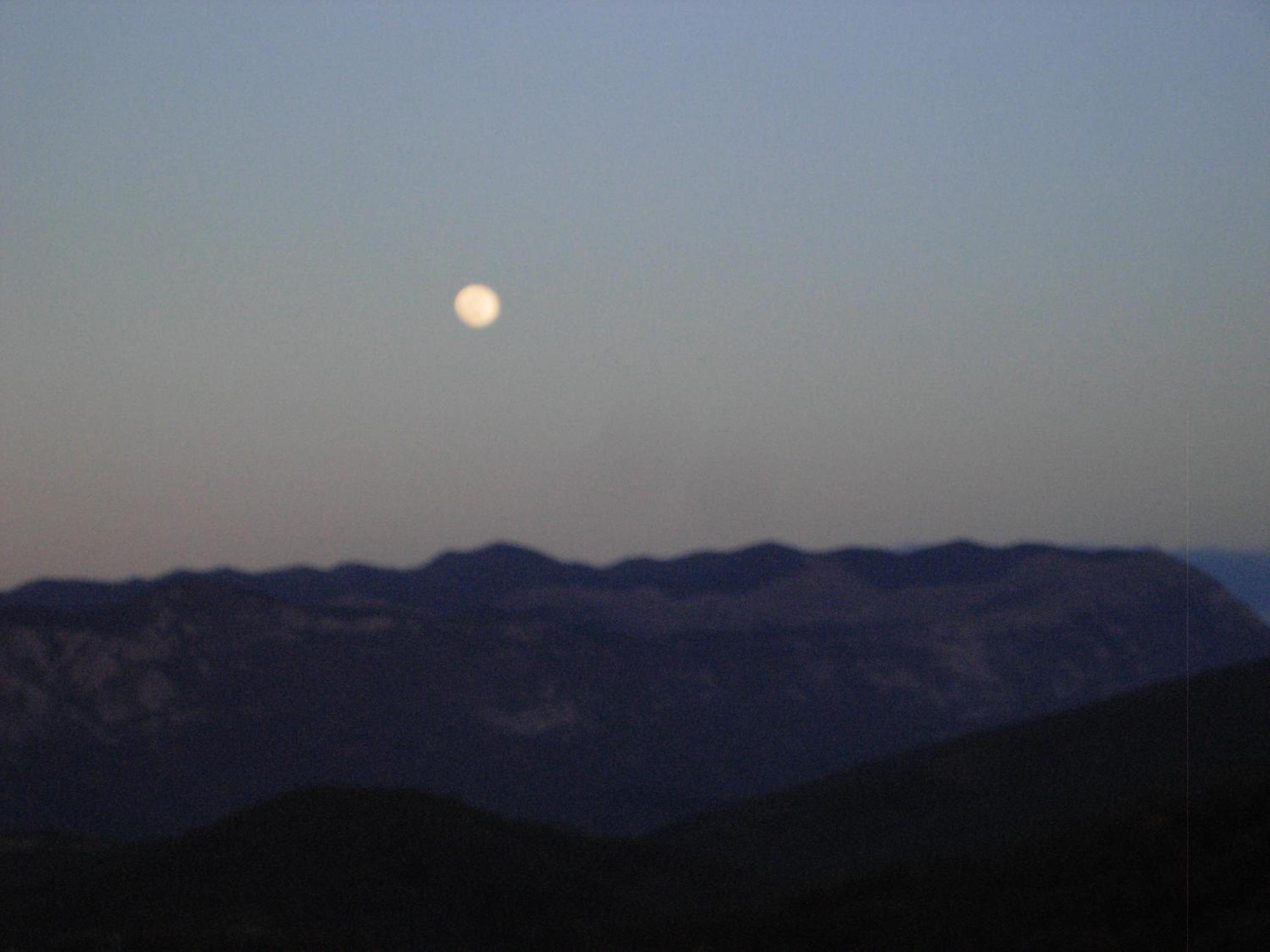 Photo 49
