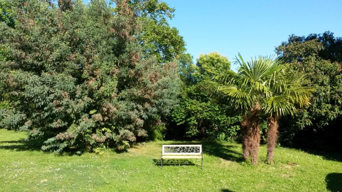 Photo 41