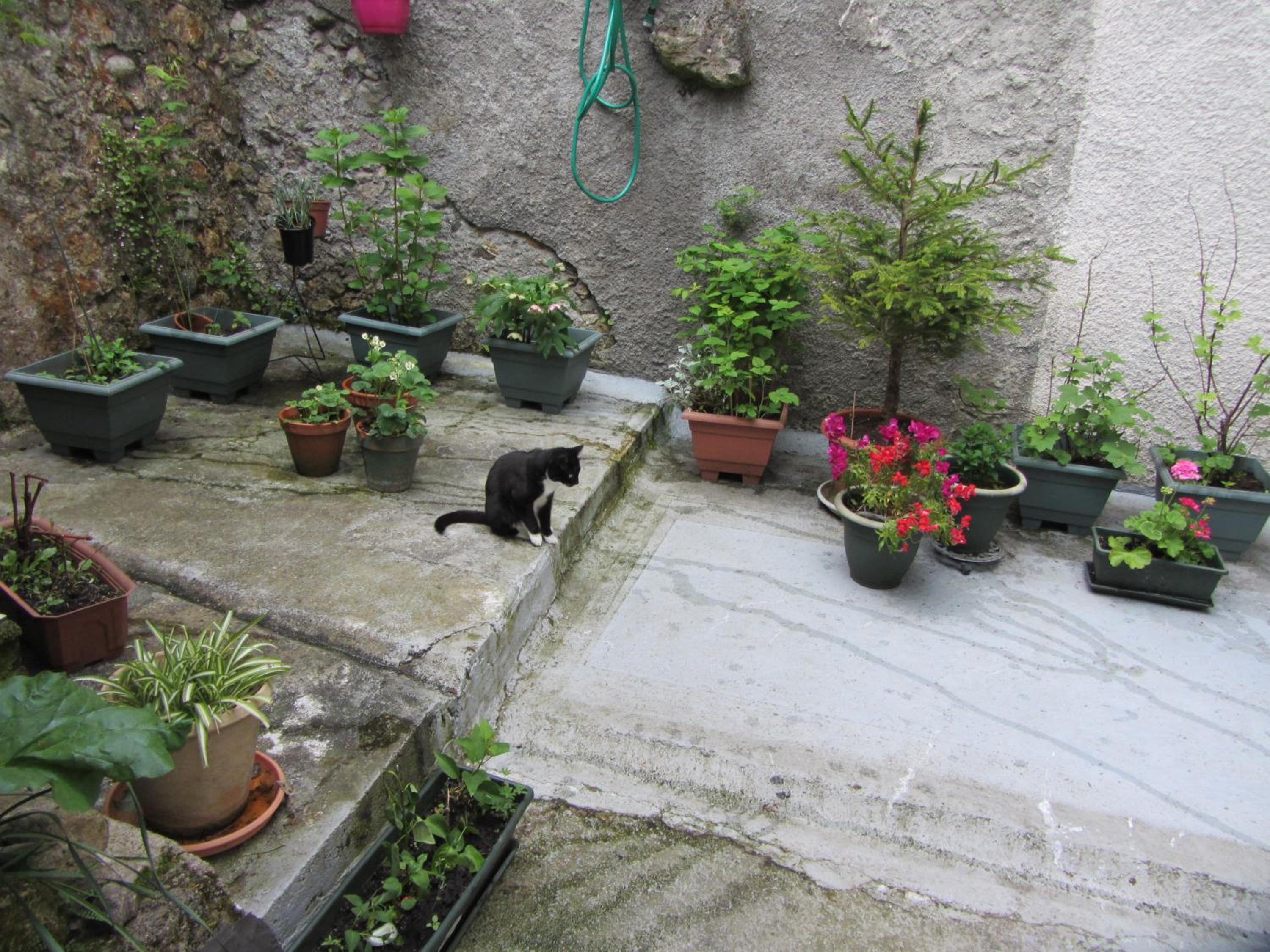 Photo 33
