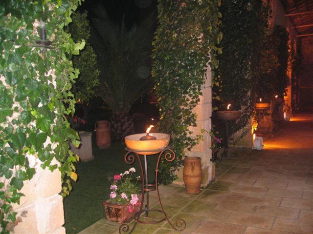 Photo 24