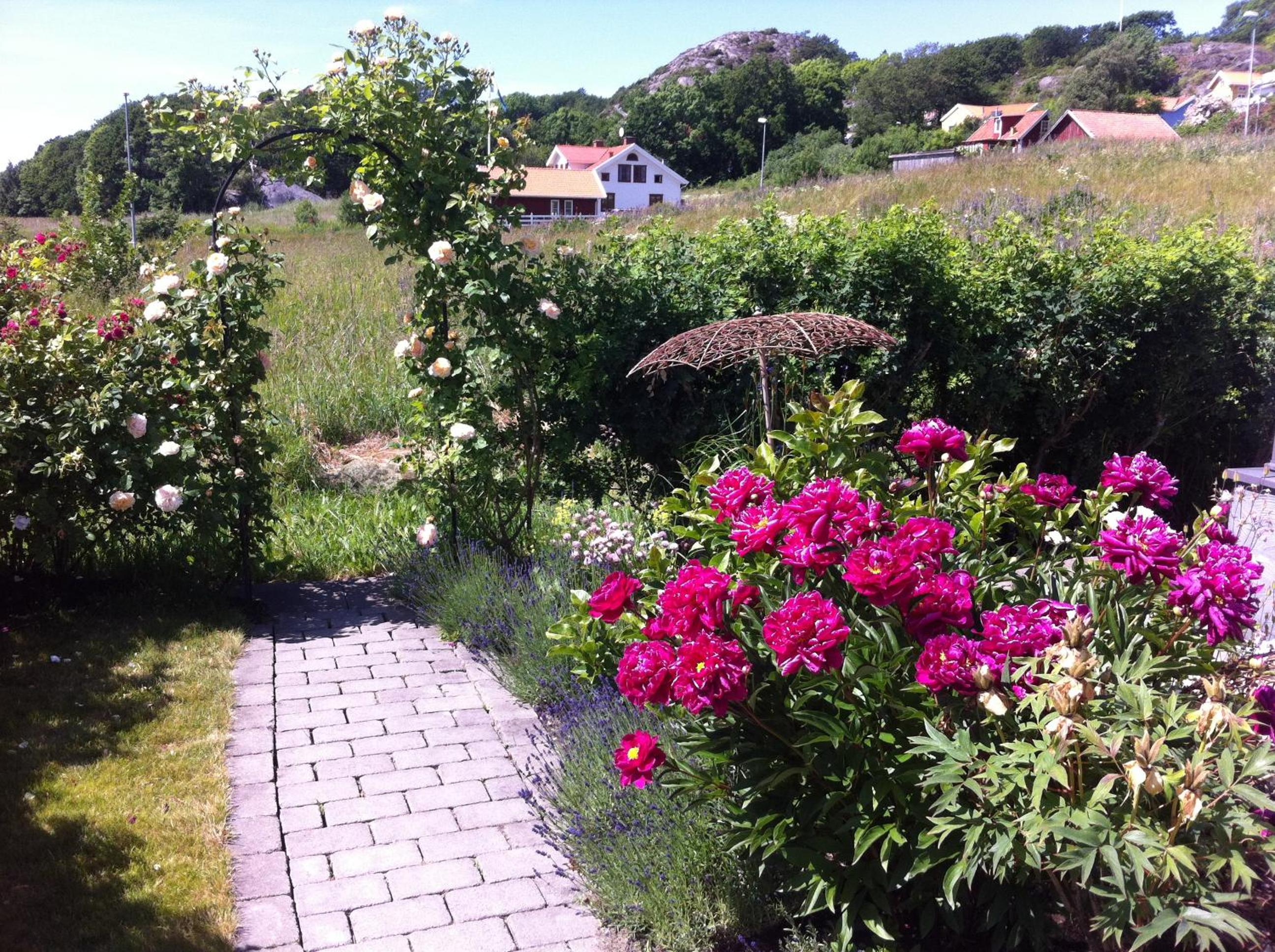 Photo 14