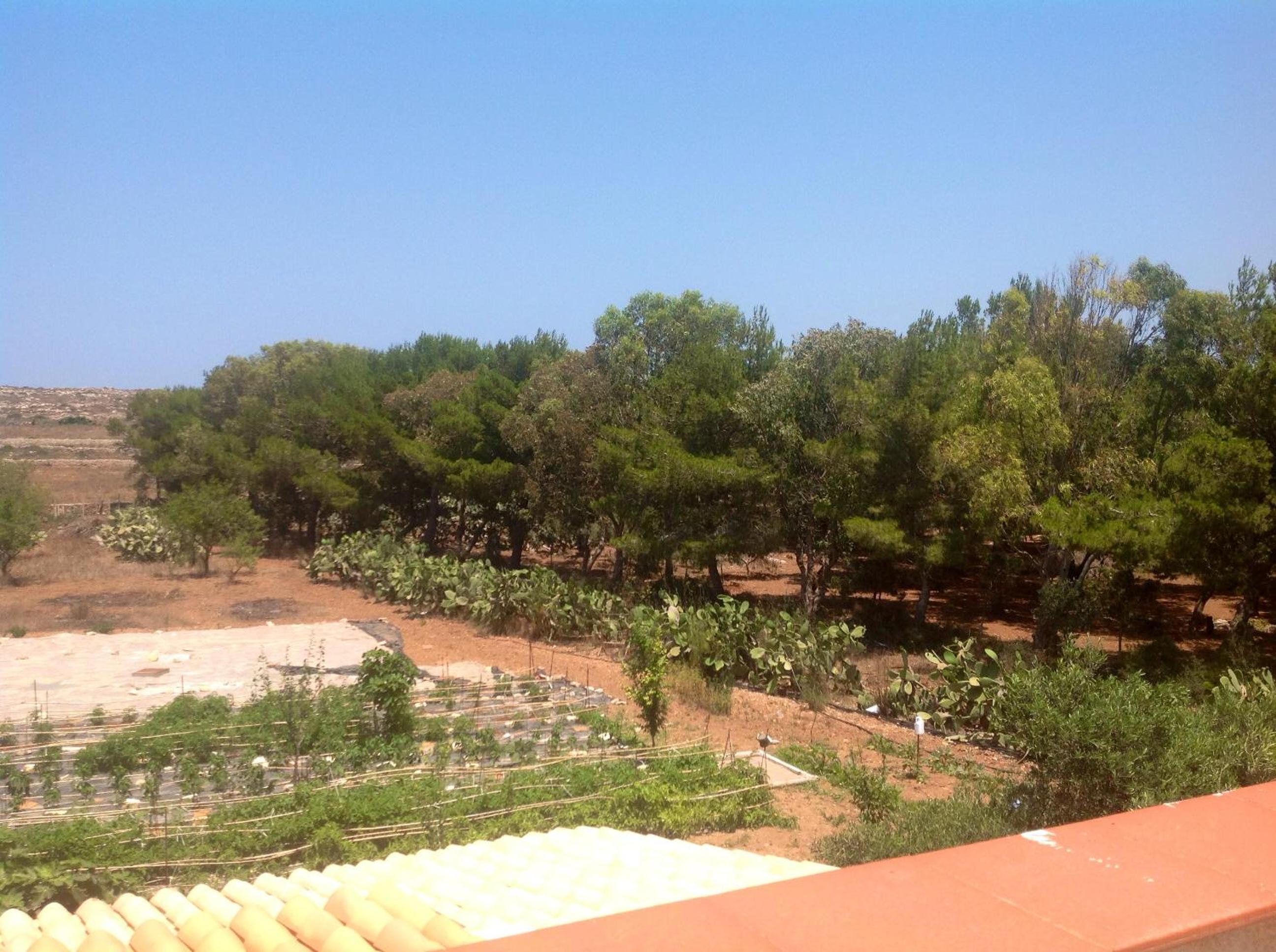 Appartamenti Calarossa O' Cafe' view 4