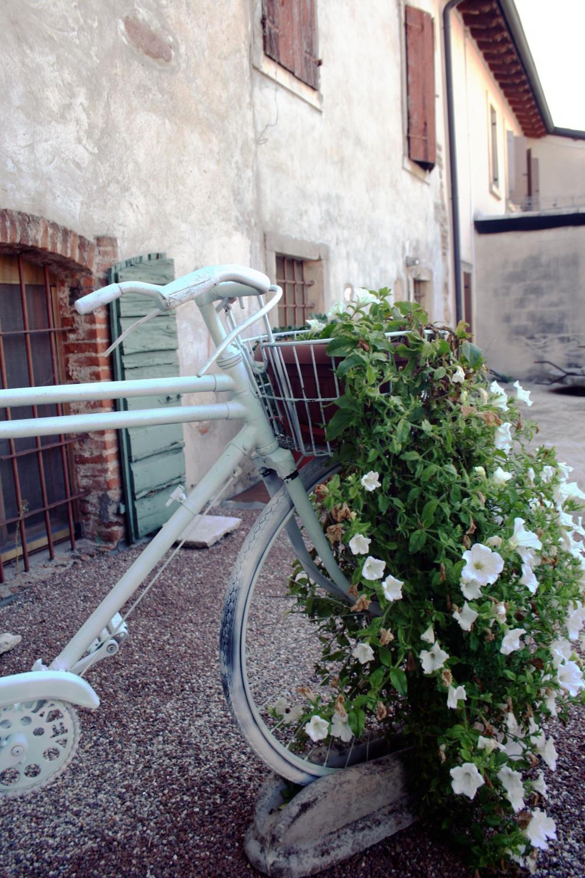 Photo 43