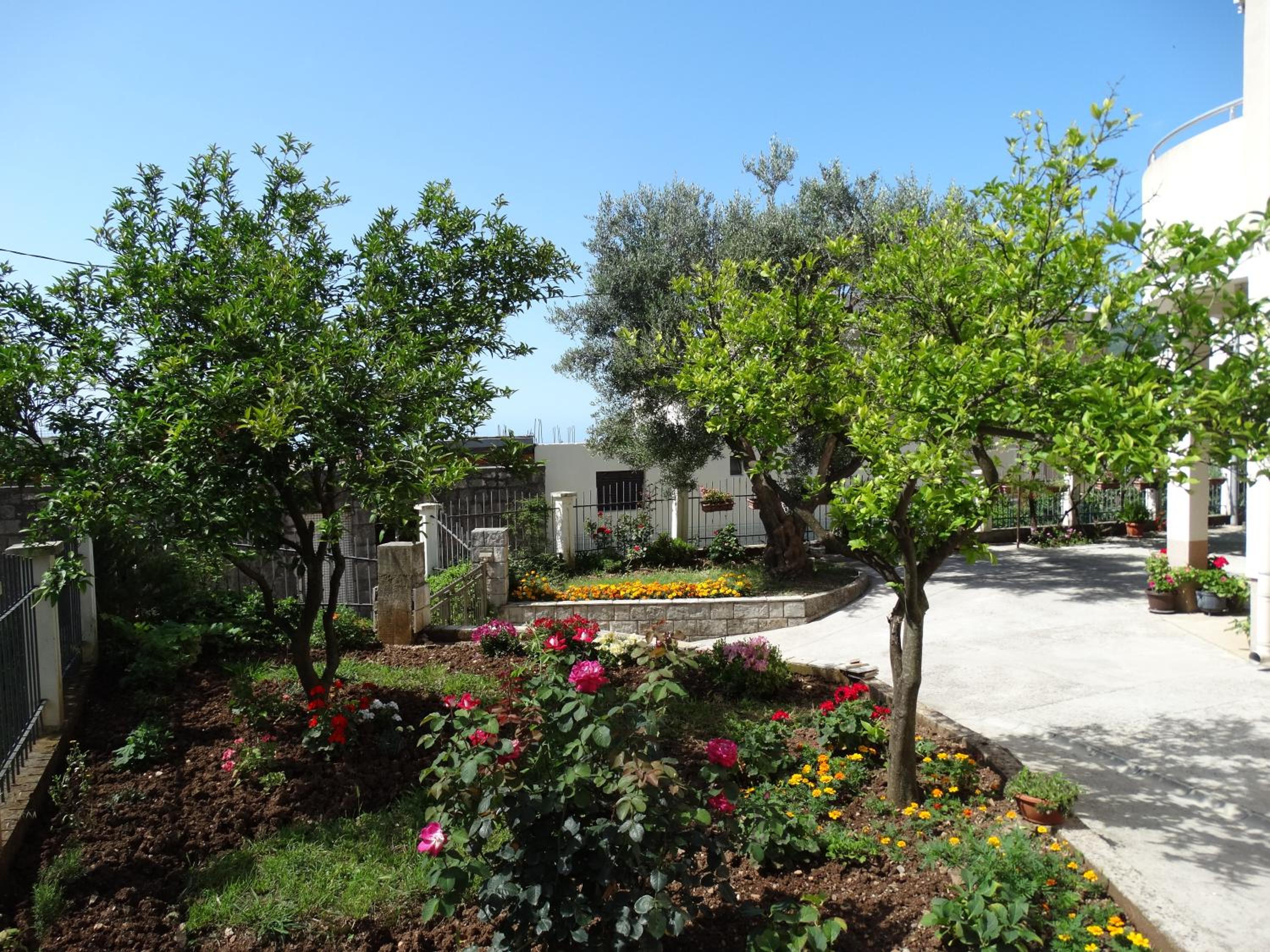 Photo 12