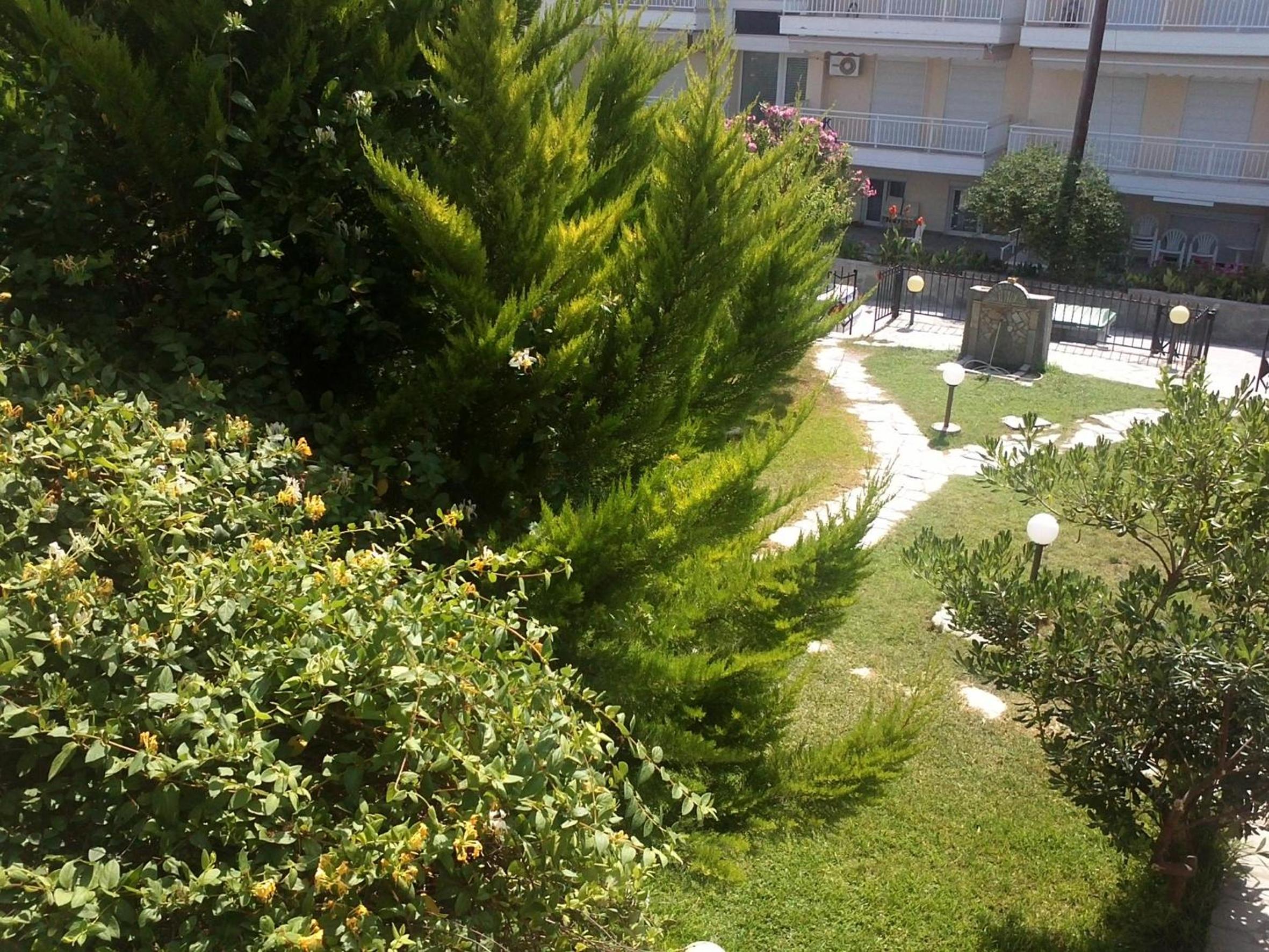 Photo 42