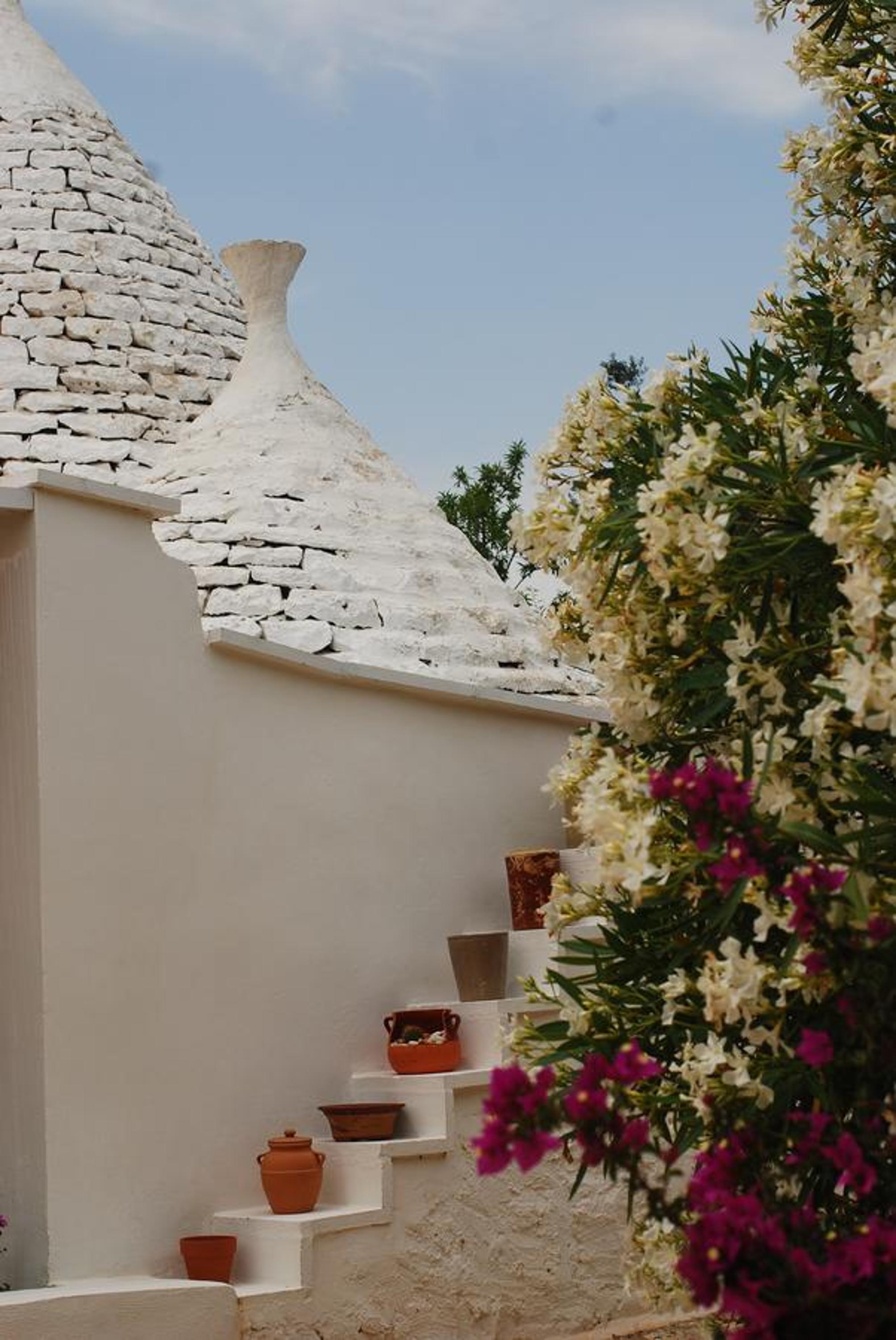 Fikus - the Apulian B&B view 3