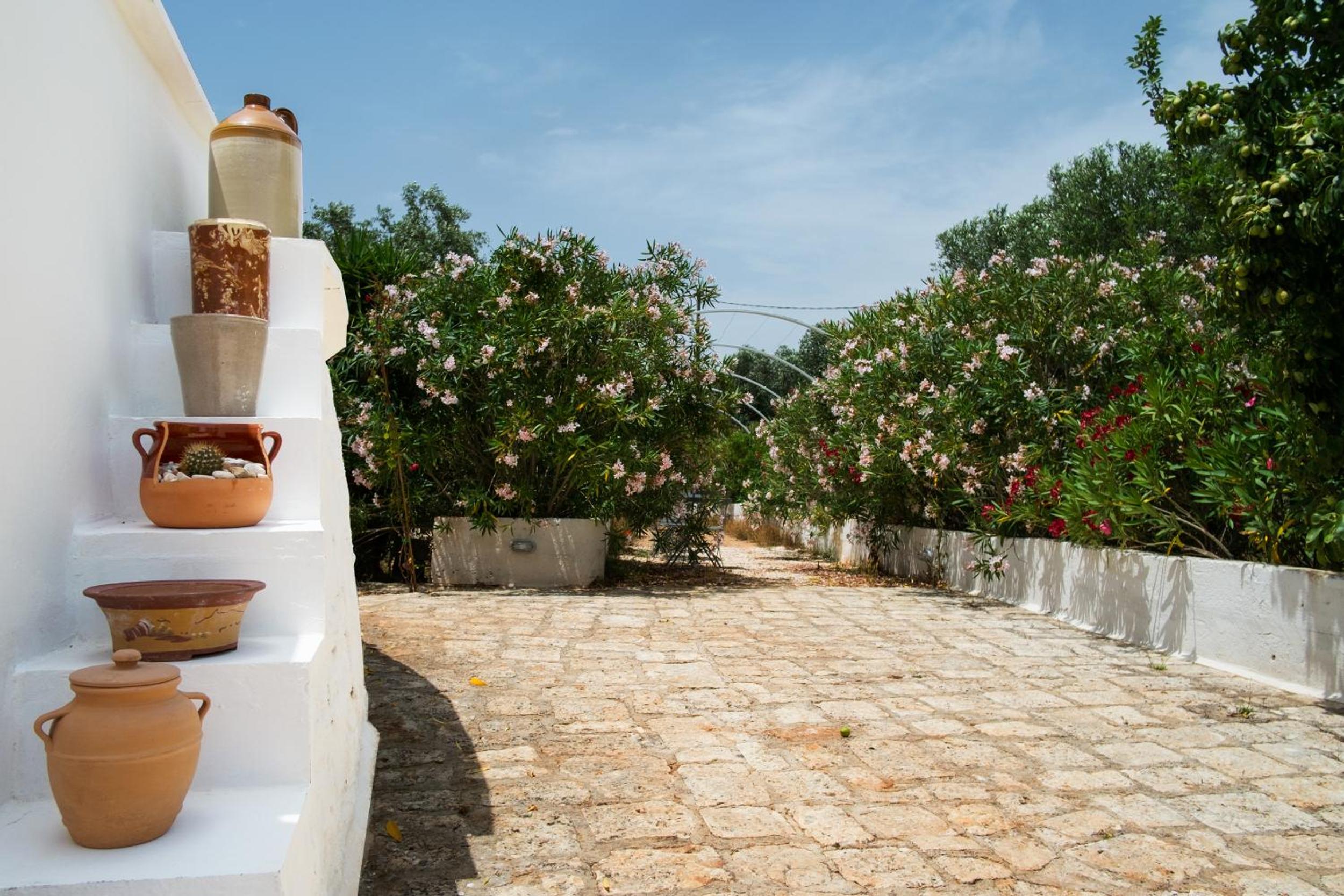 Fikus - the Apulian B&B view 4