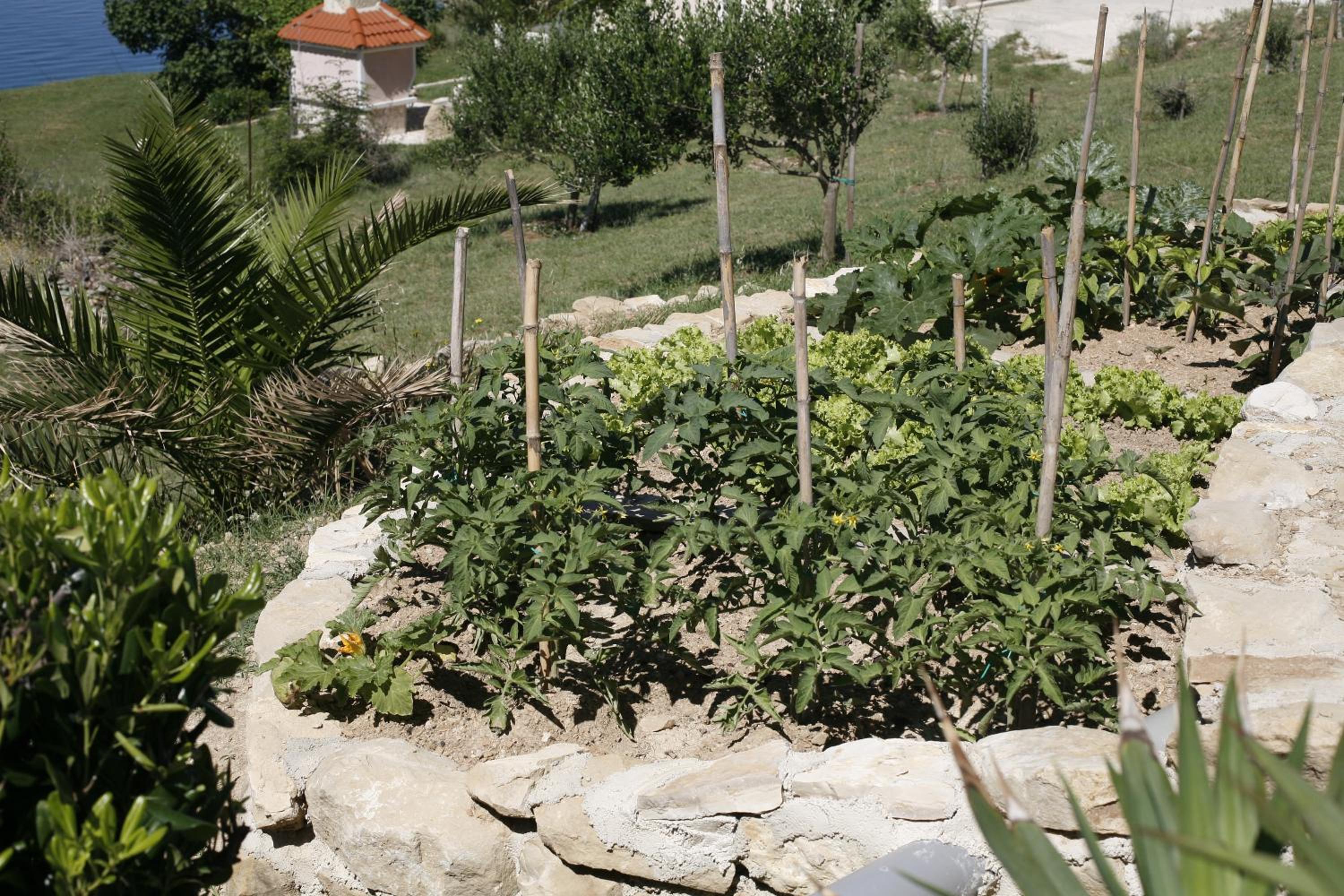 Photo 26
