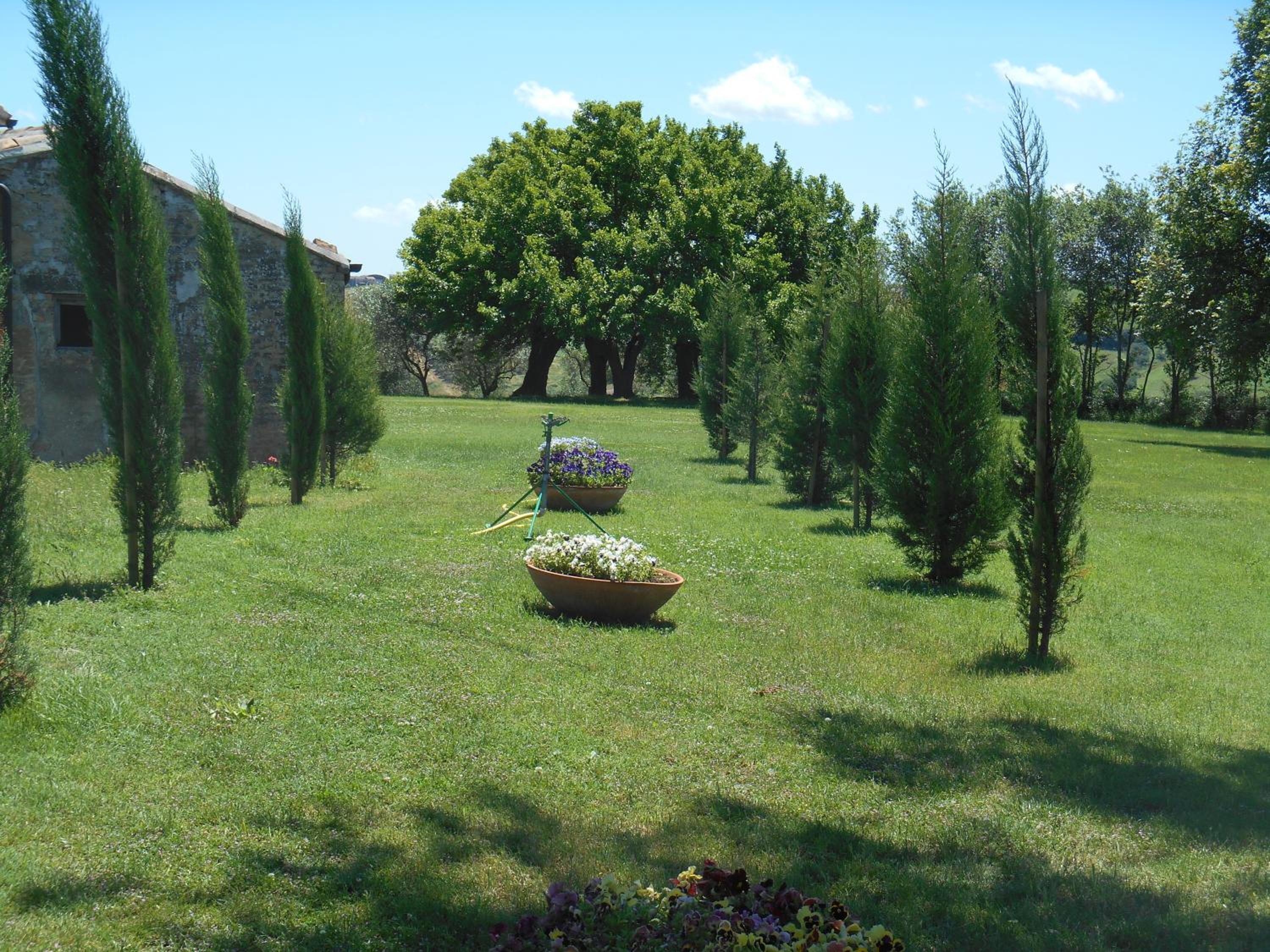 Photo 32