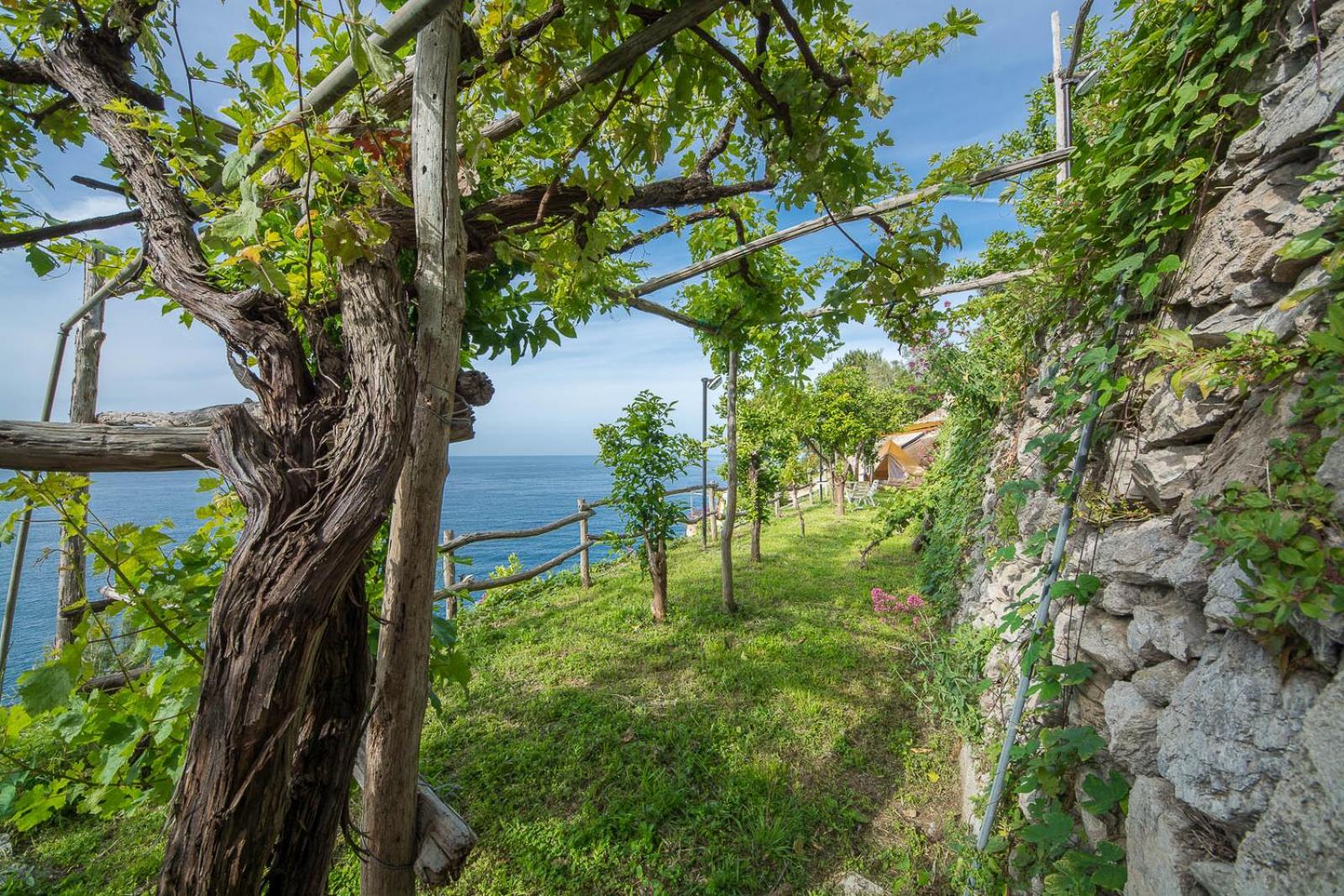 Cannaverde - Amalfi Coast Camp