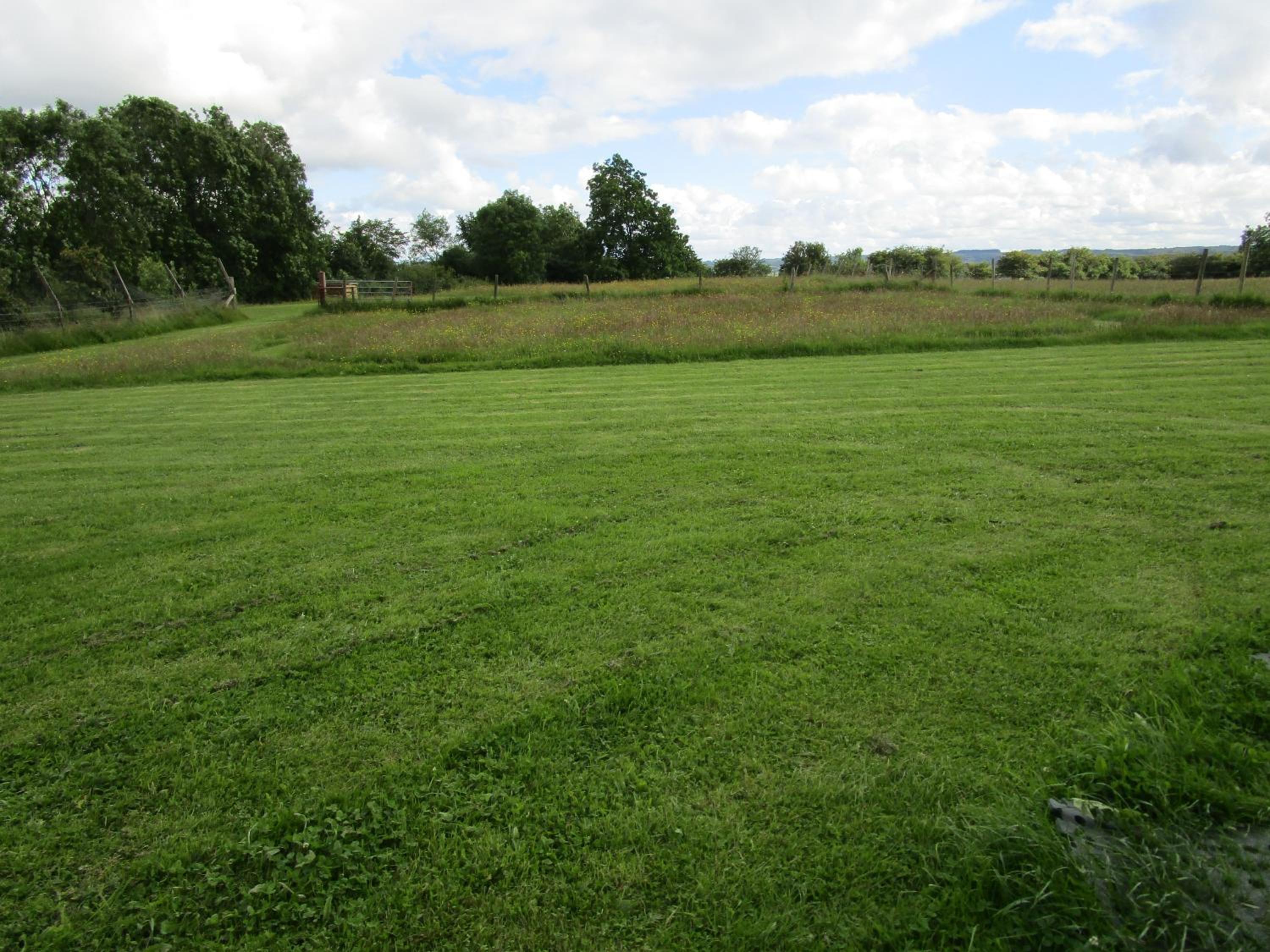 Photo 32