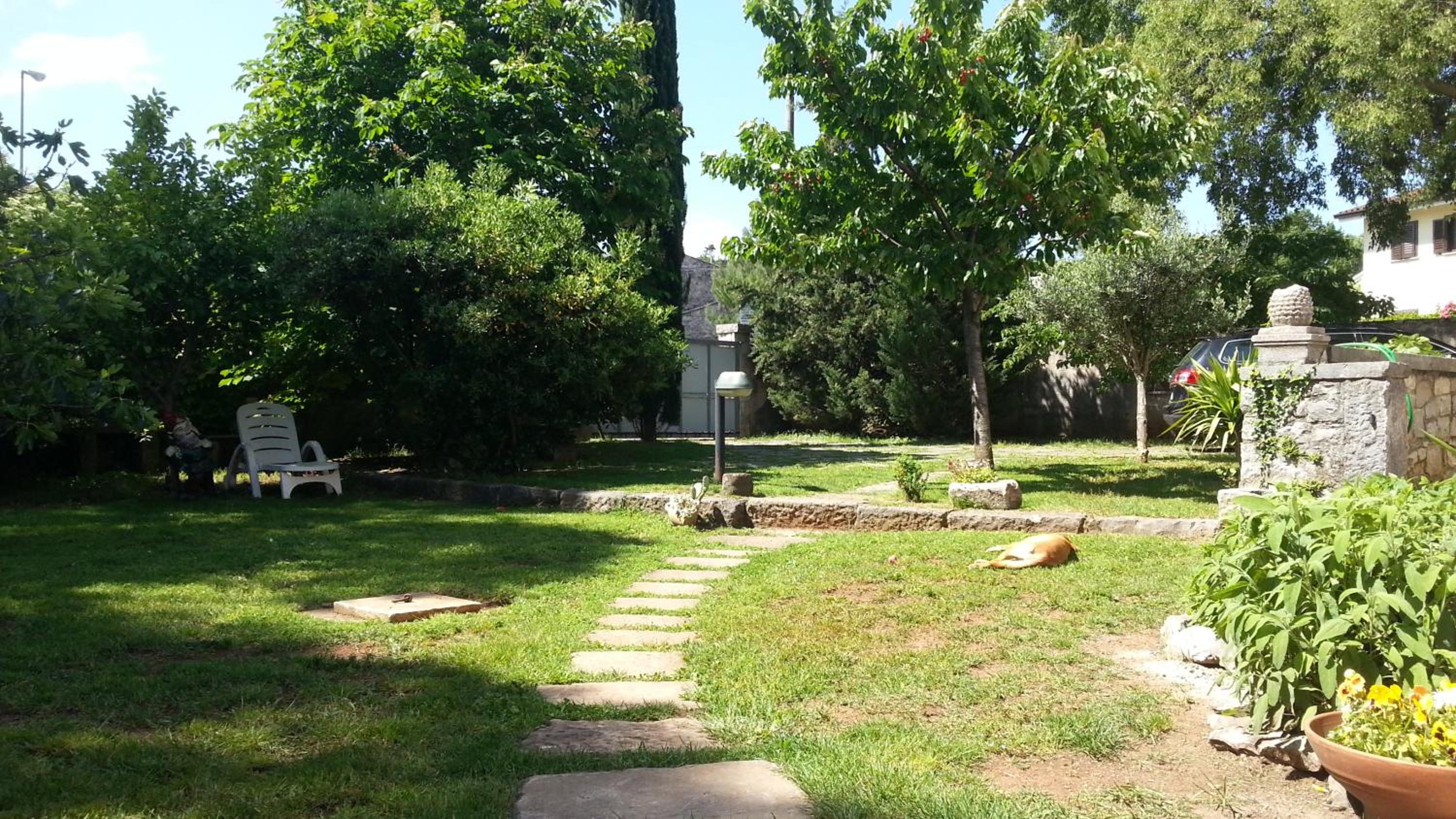 Photo 27