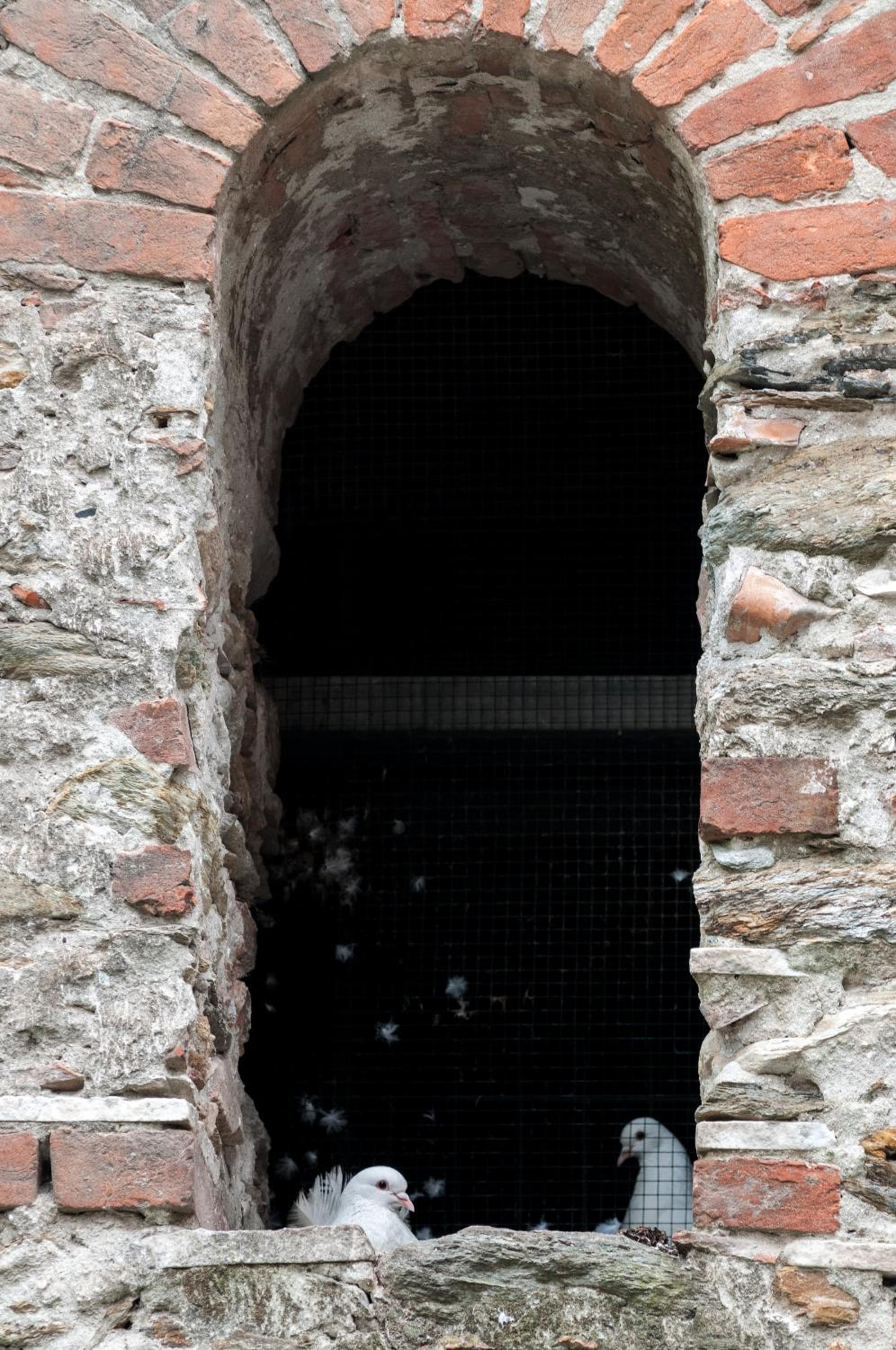 Il Parco Apartments photo 5