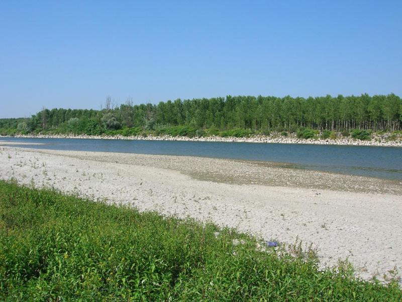 Photo 45