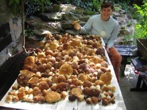 Penzion Nevcehle