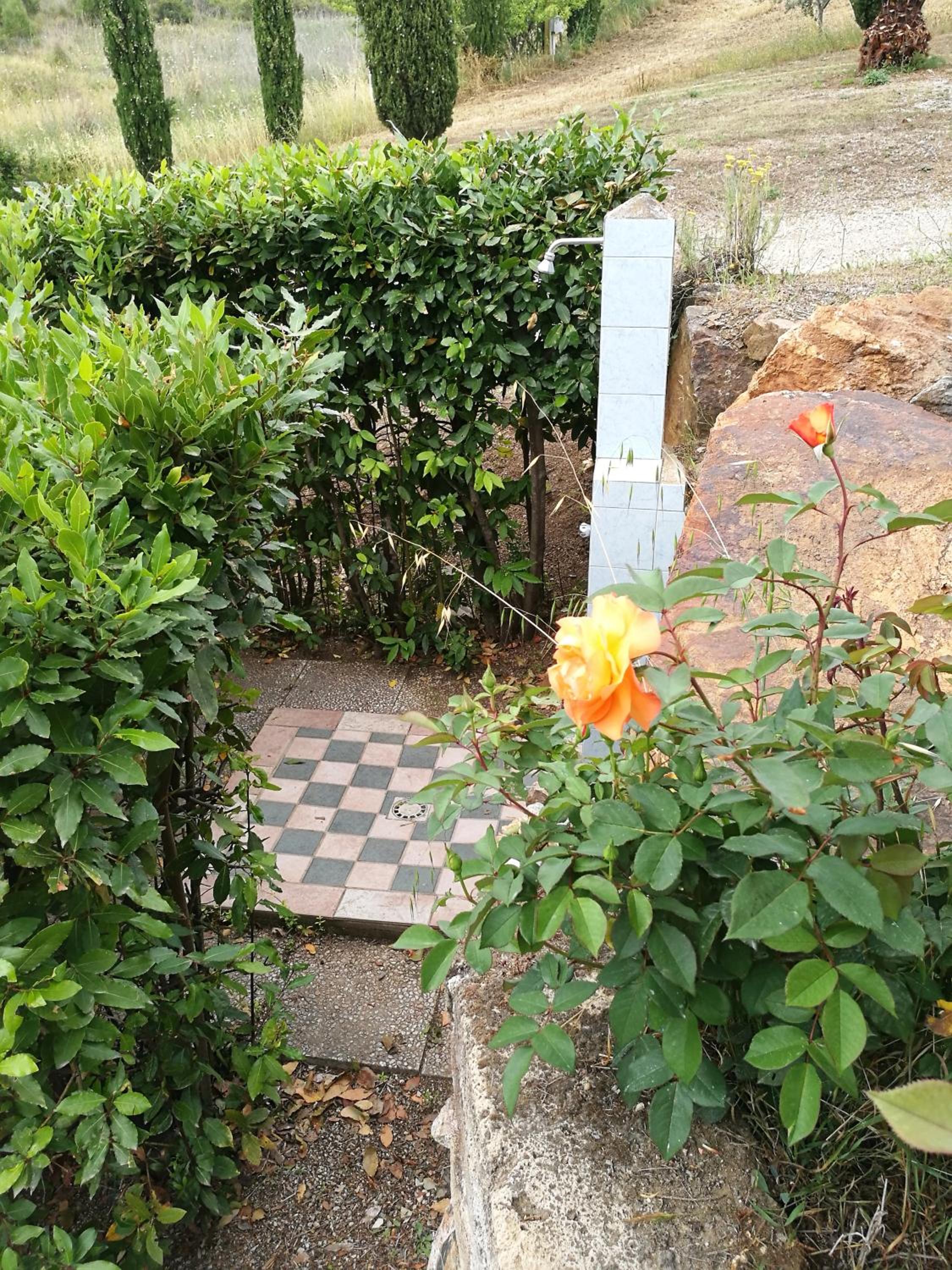 Photo 38
