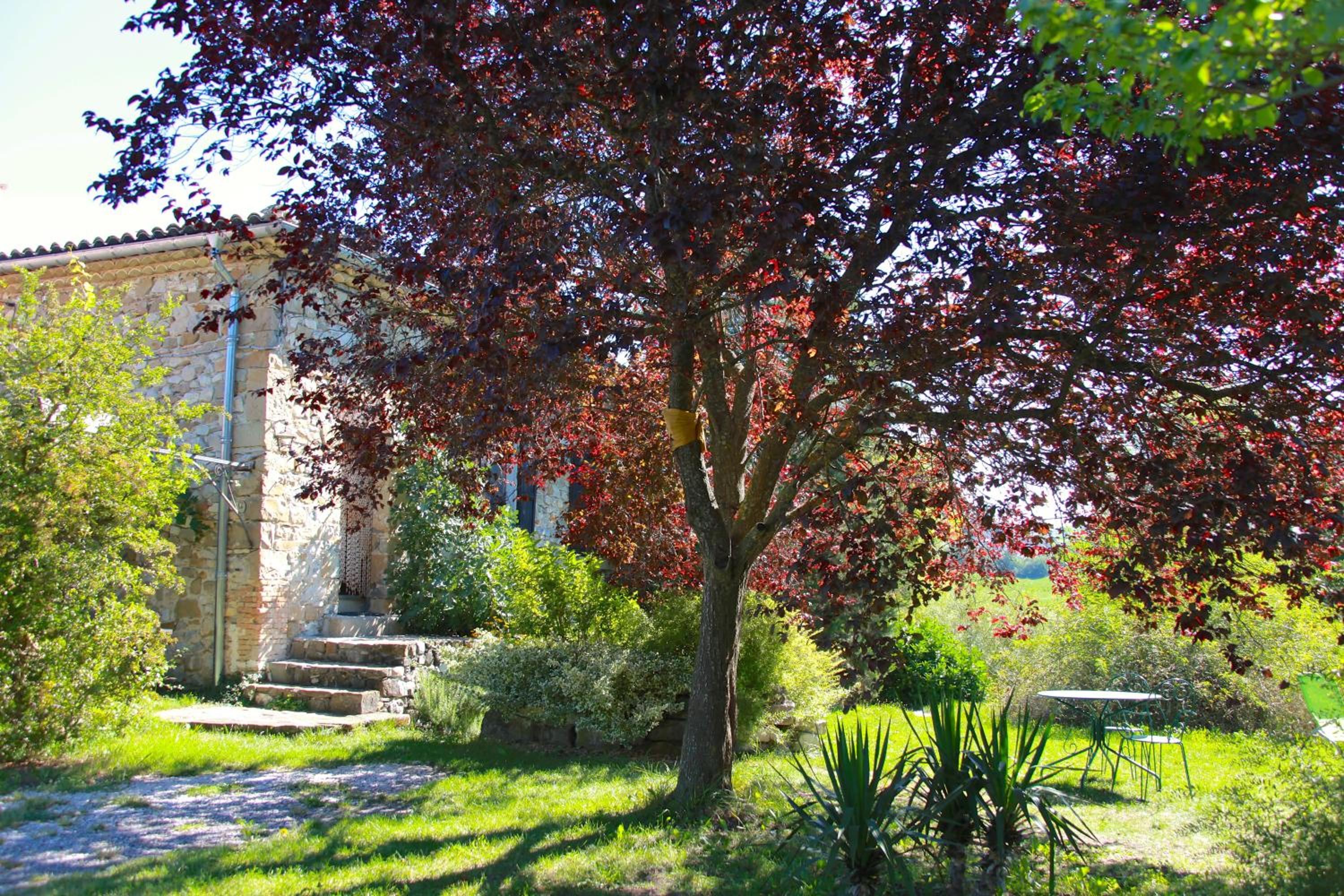 Photo 31