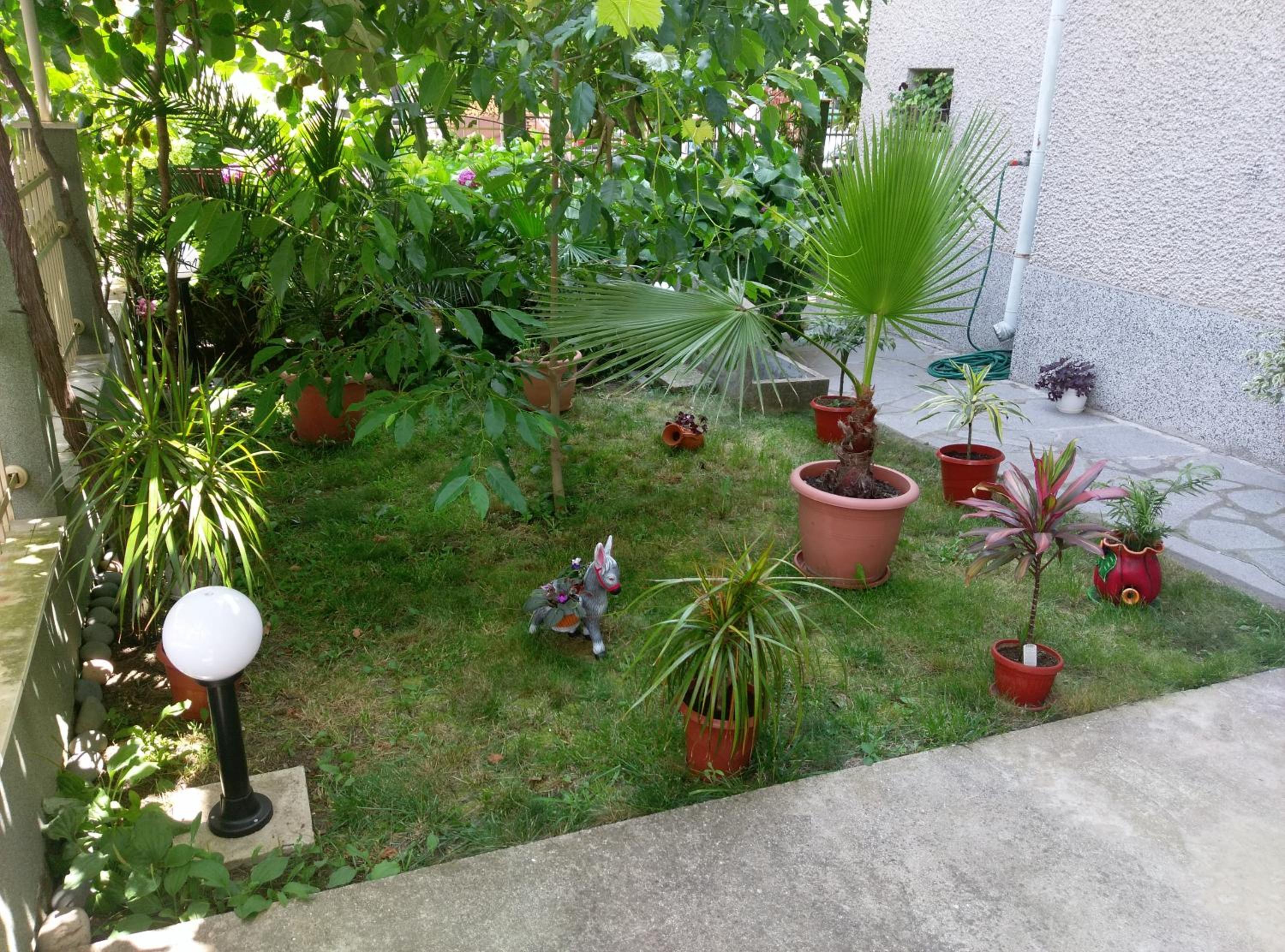 Guest House Krasi