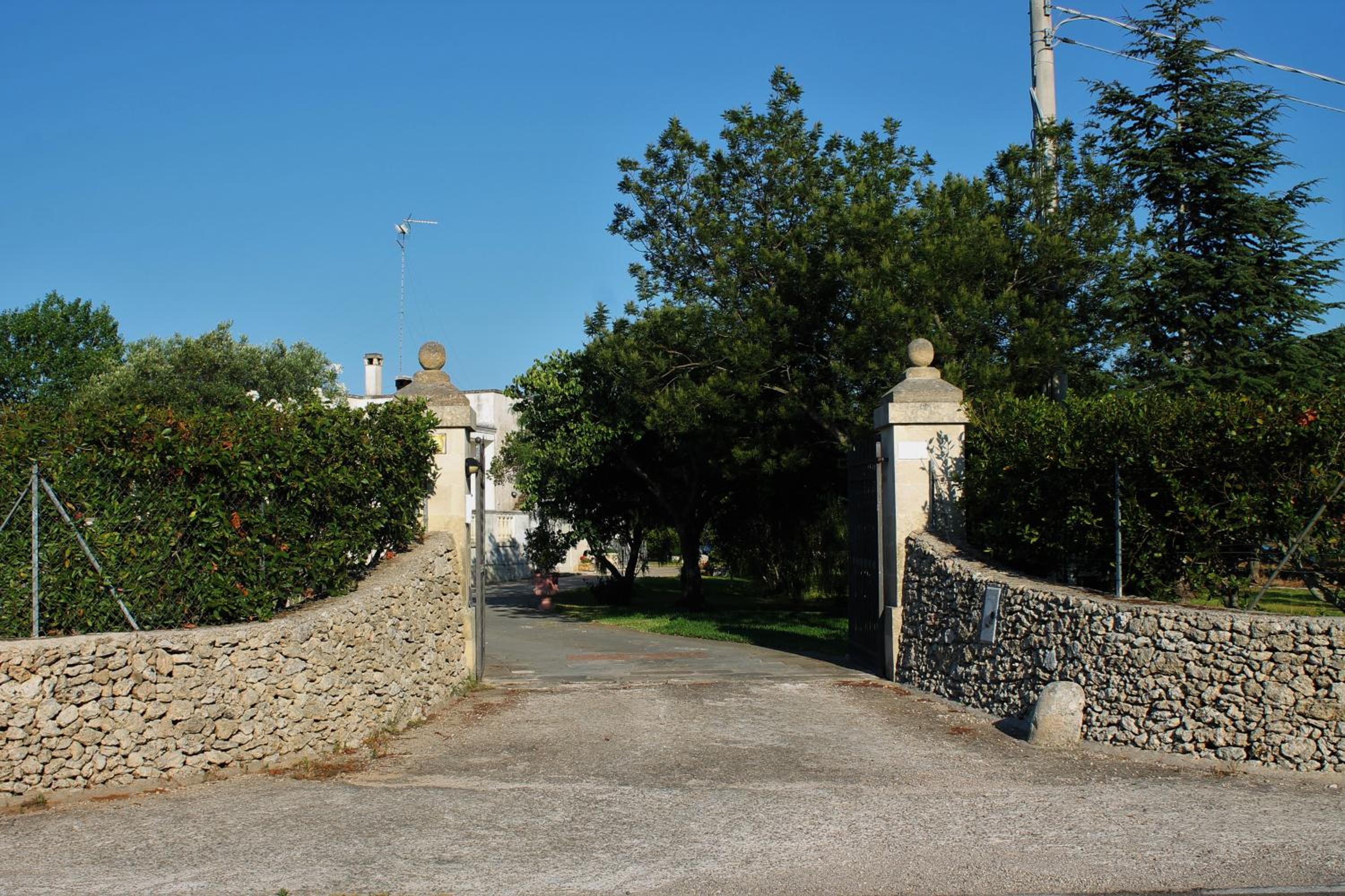 Photo 11