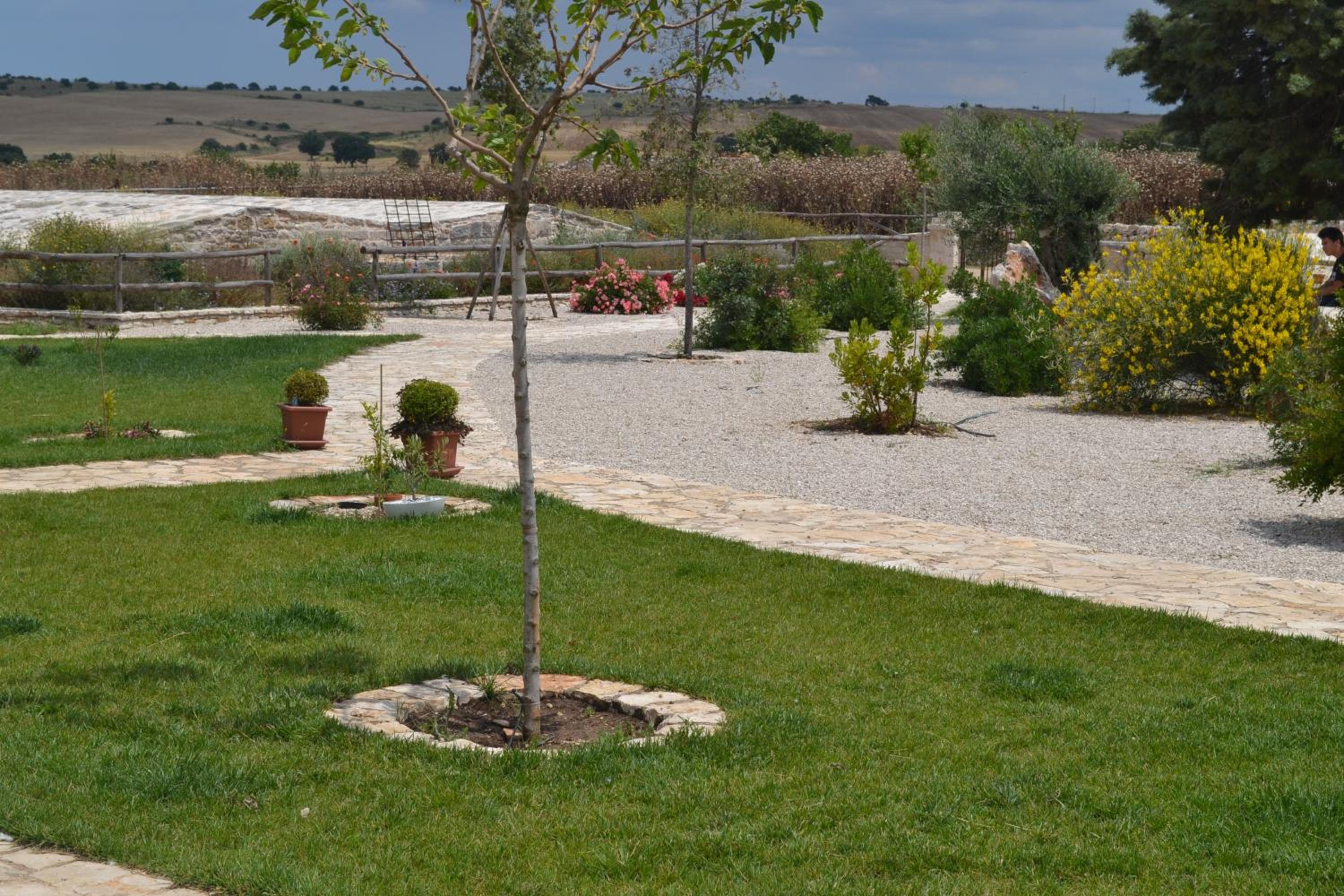 Masseria Revinaldi photo 5