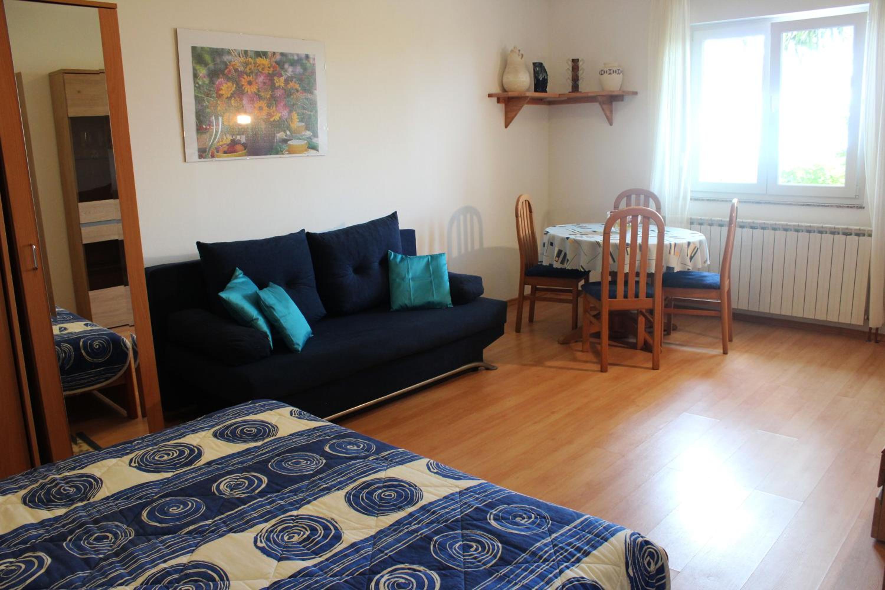Apartments Anicic