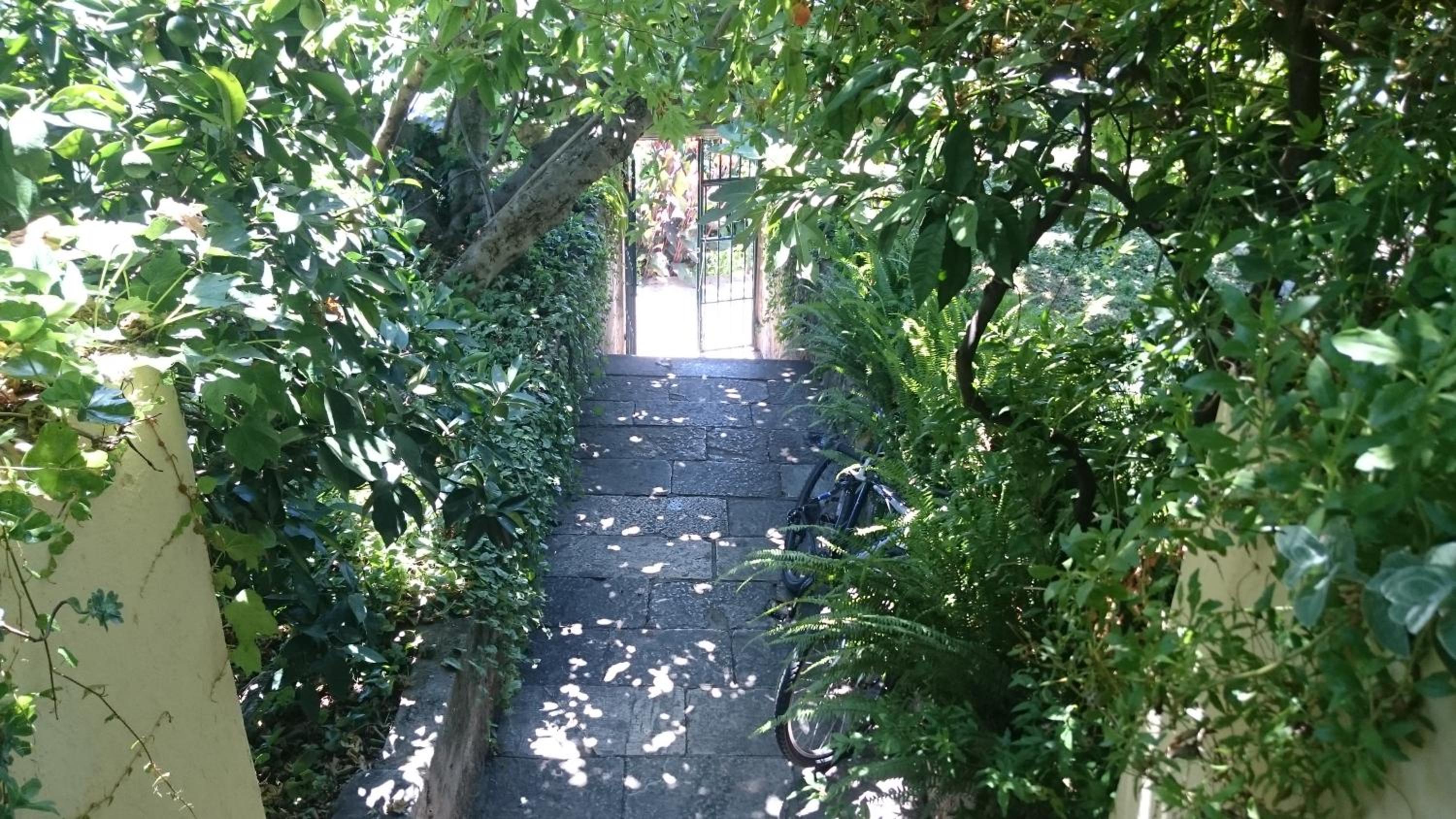 Photo 22
