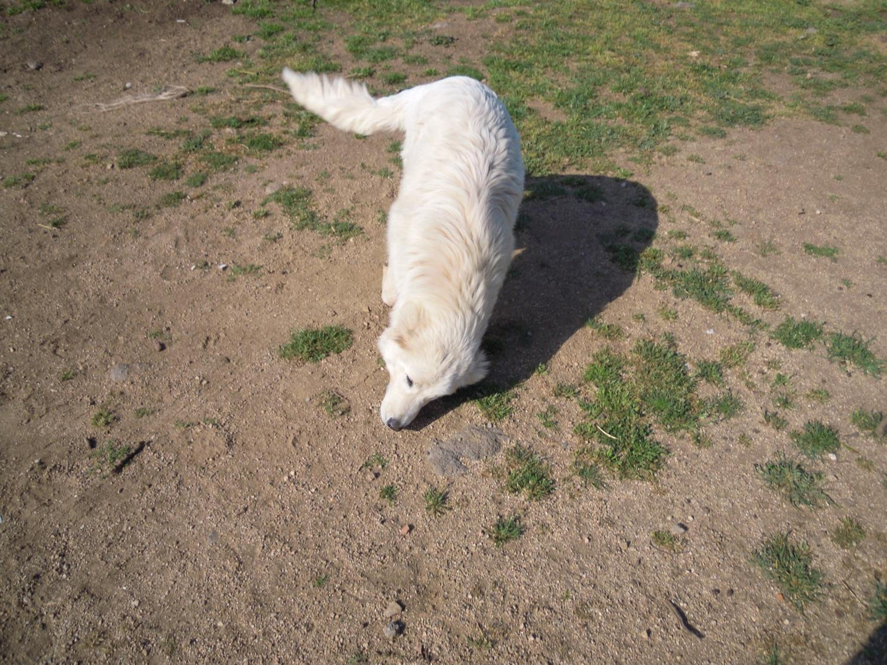 Photo 47