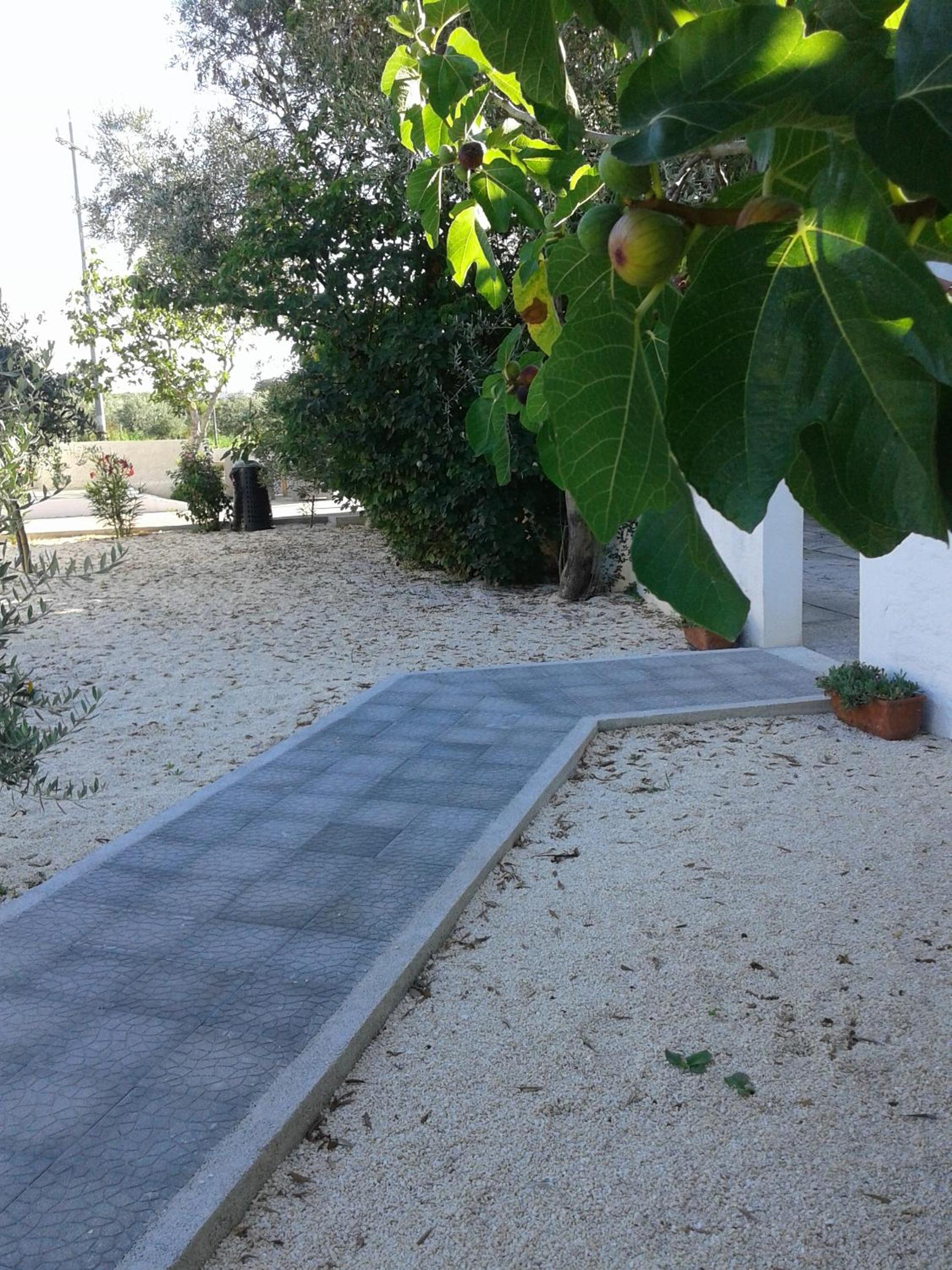 Photo 47