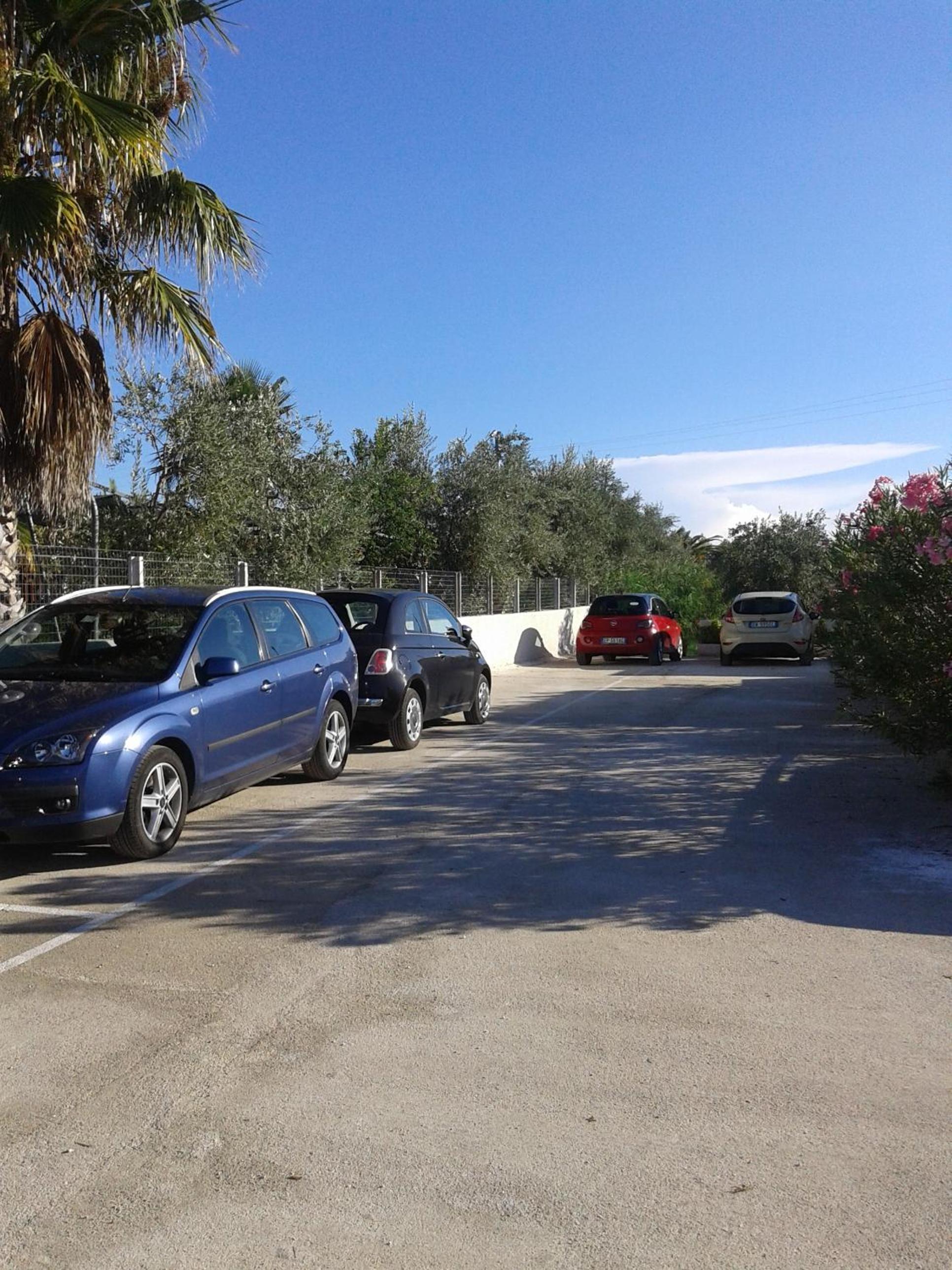 Photo 45