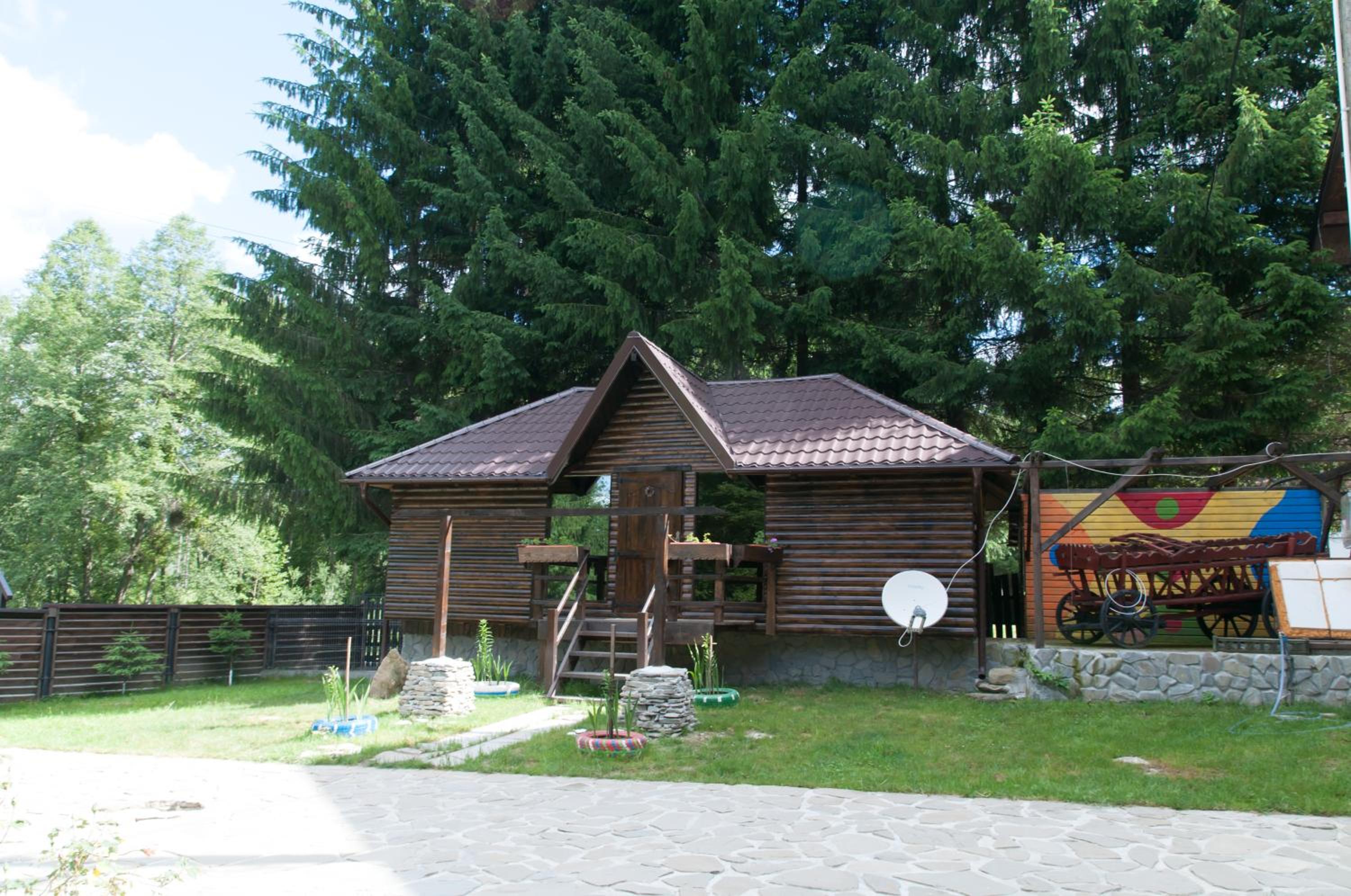 Photo 11